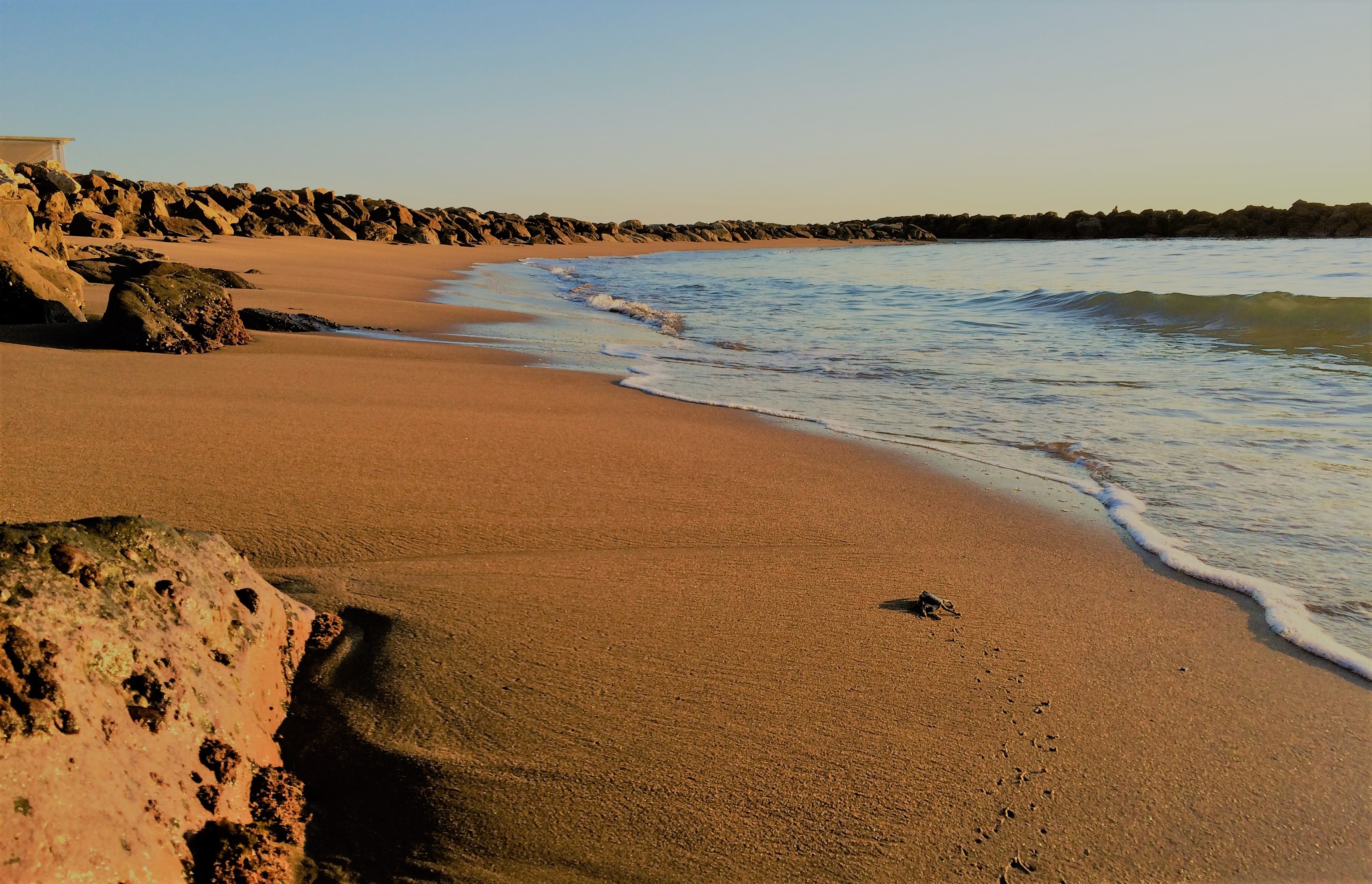 Beach with rocks and waves in Santa Severa, Italy HD Wallpaper