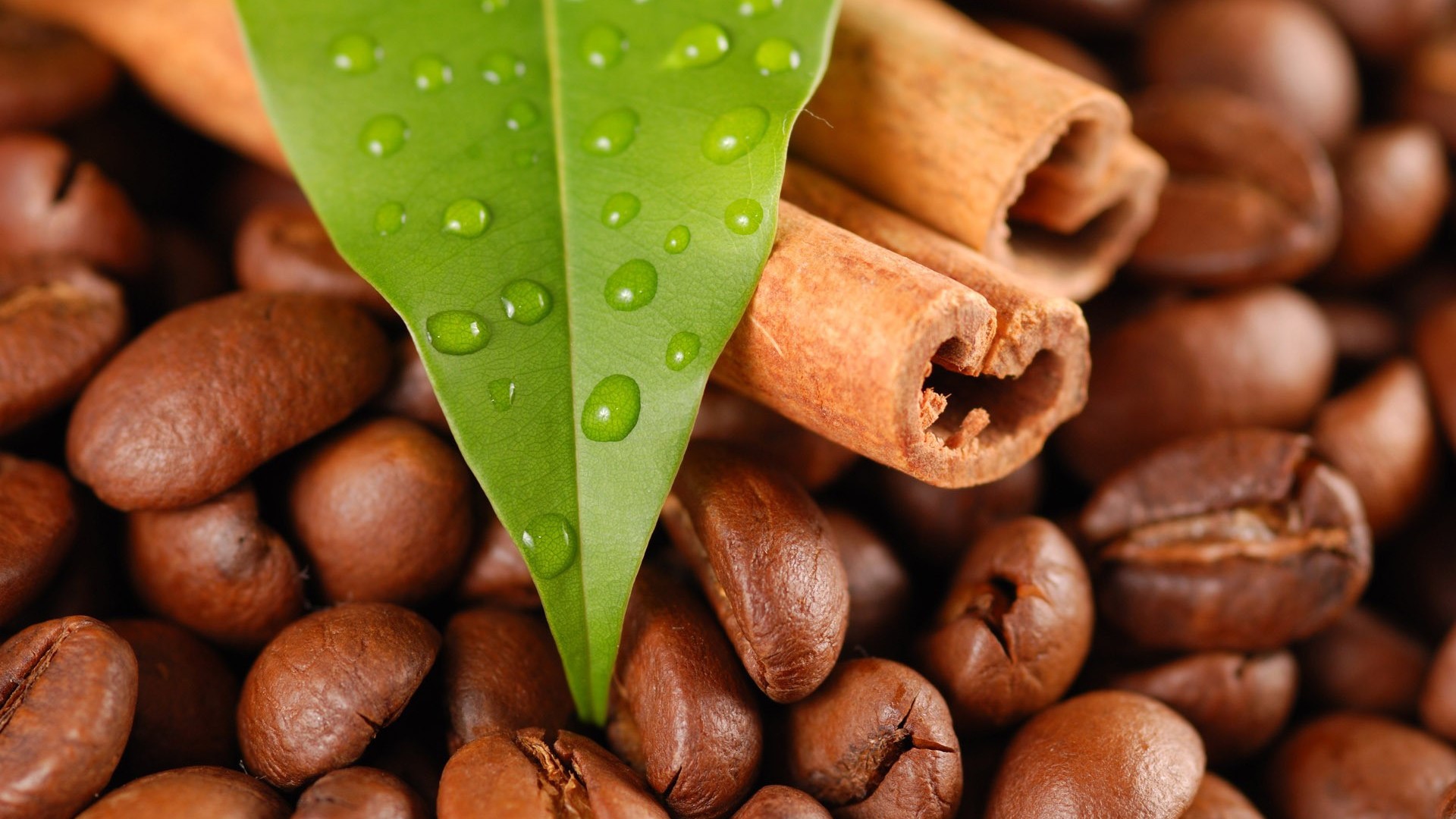 Coffee beans with cinnamon sticks and a green leaf with water drops HD Wallpaper