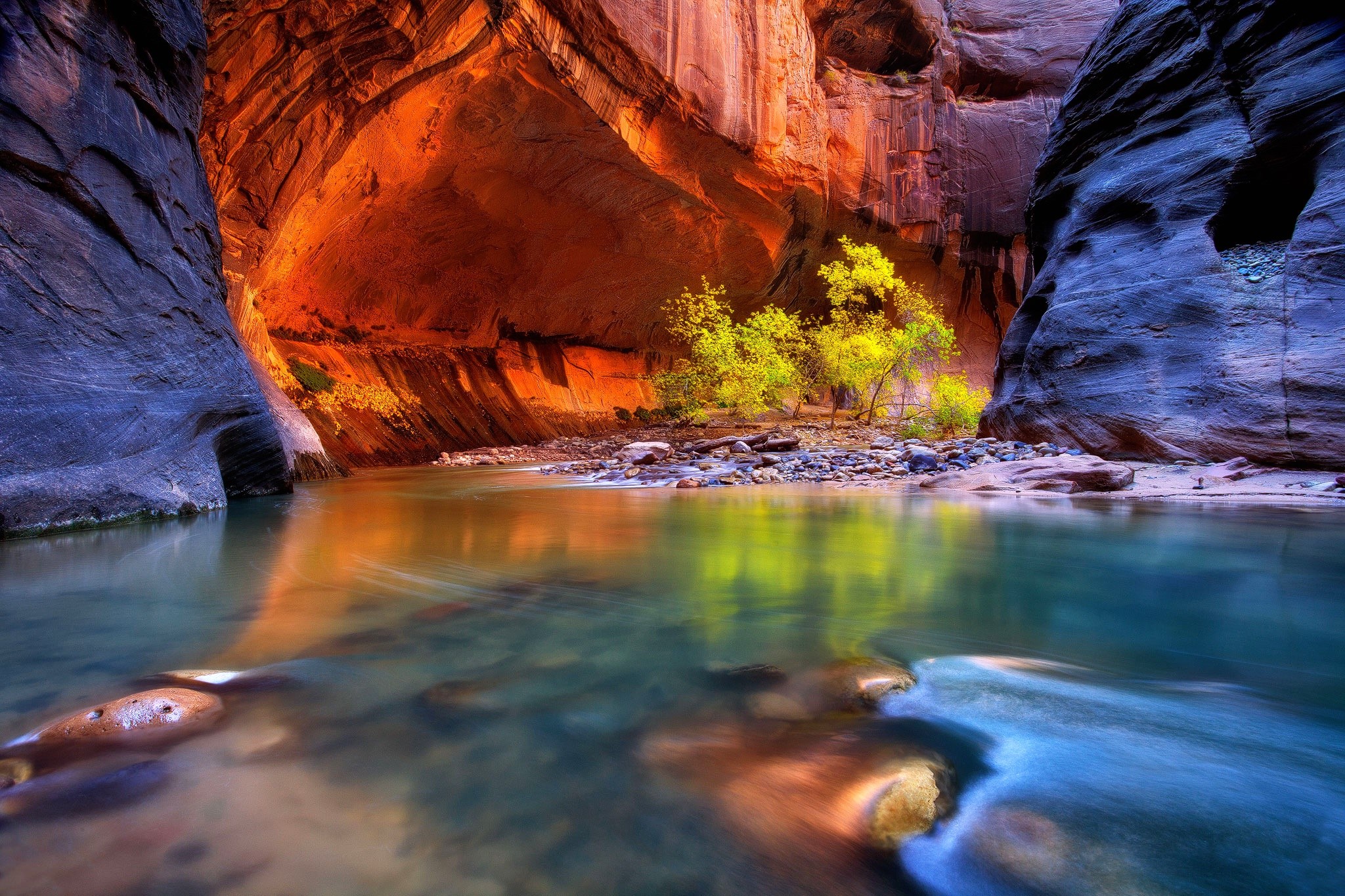 Canyon river with colorful rock walls and trees HD Wallpaper