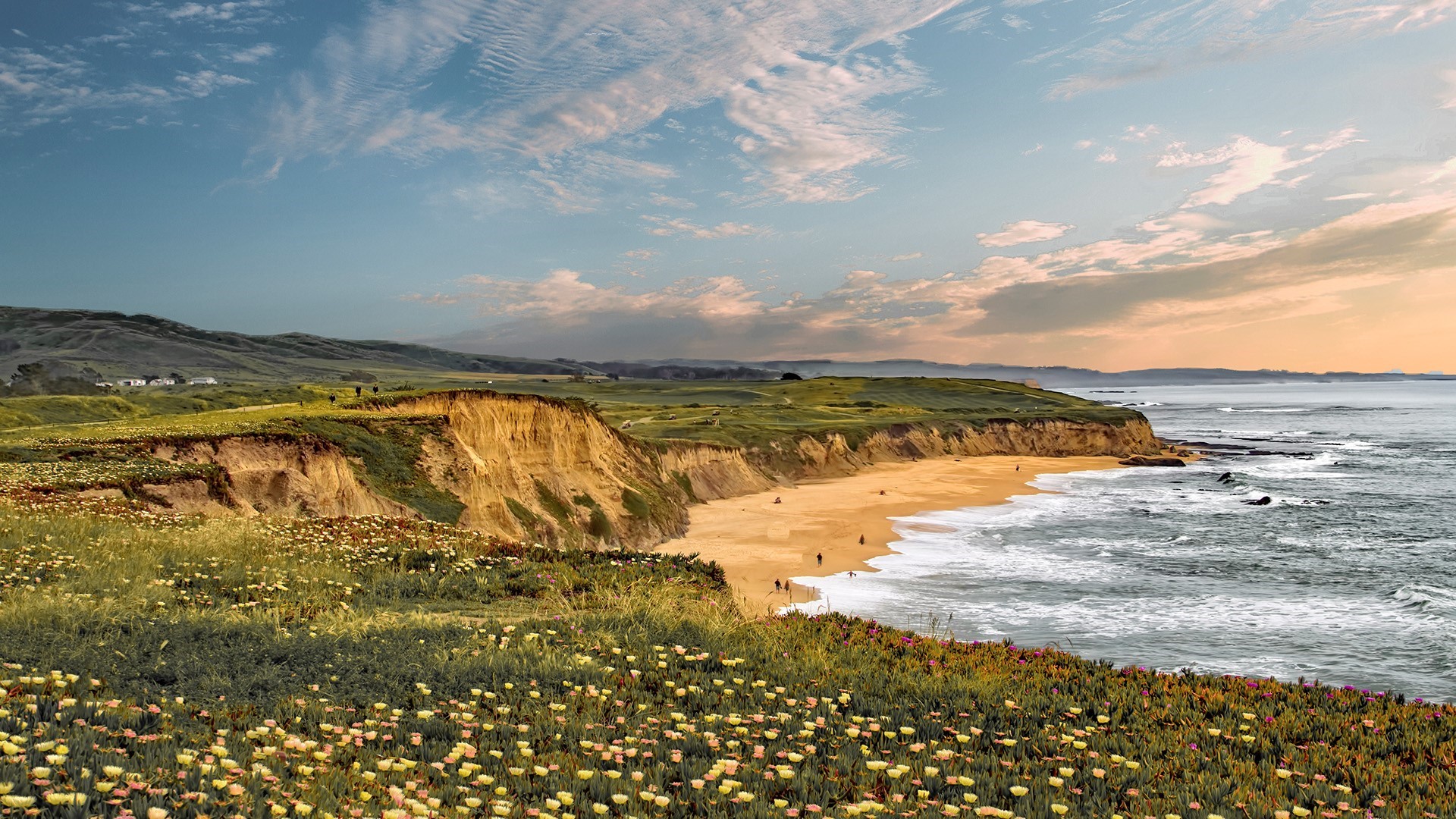 Coastal cliffs with flowers overlooking the Pacific Ocean at sunset HD Wallpaper