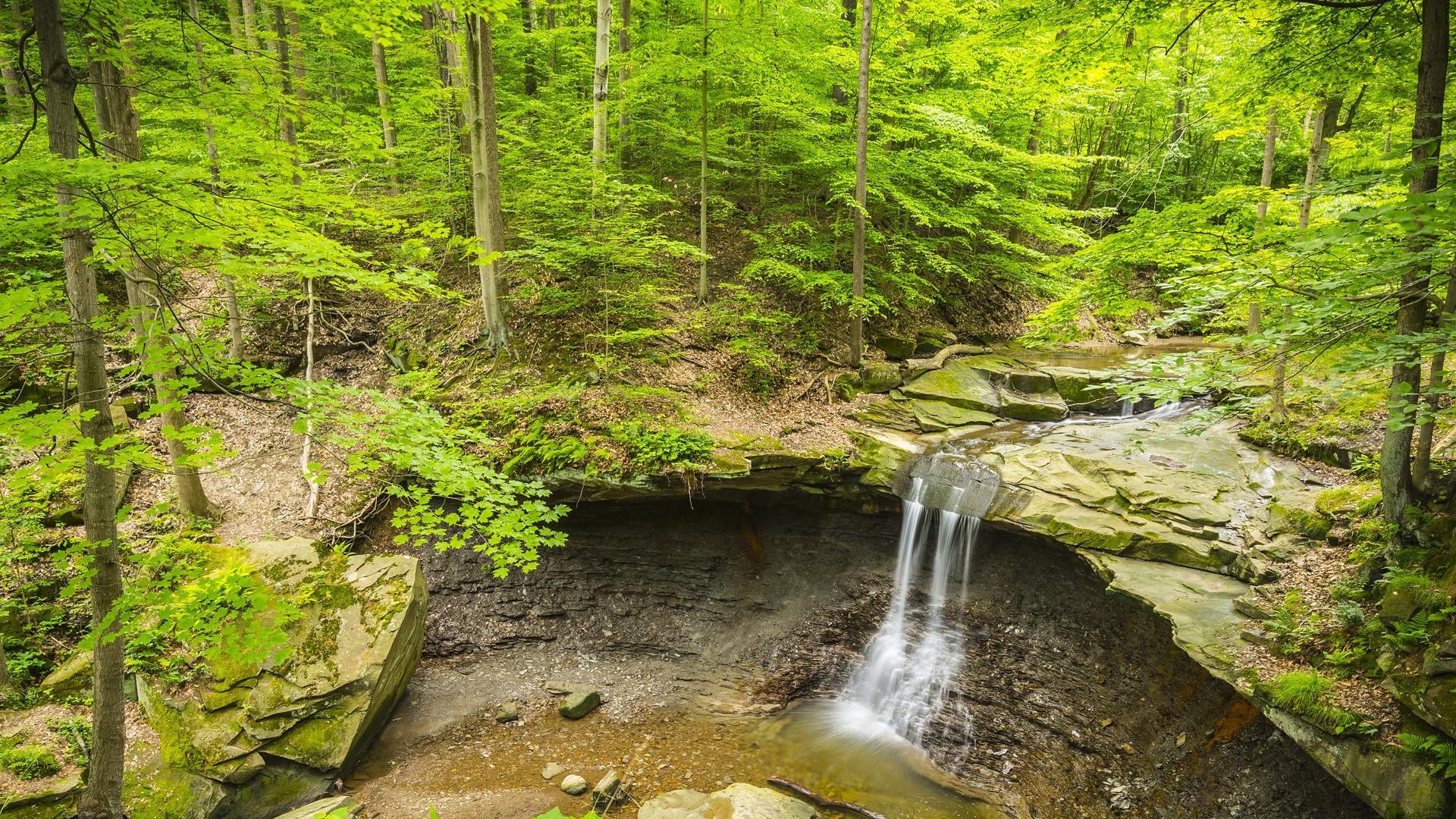Waterfall in a lush green forest in Ohio HD Wallpaper