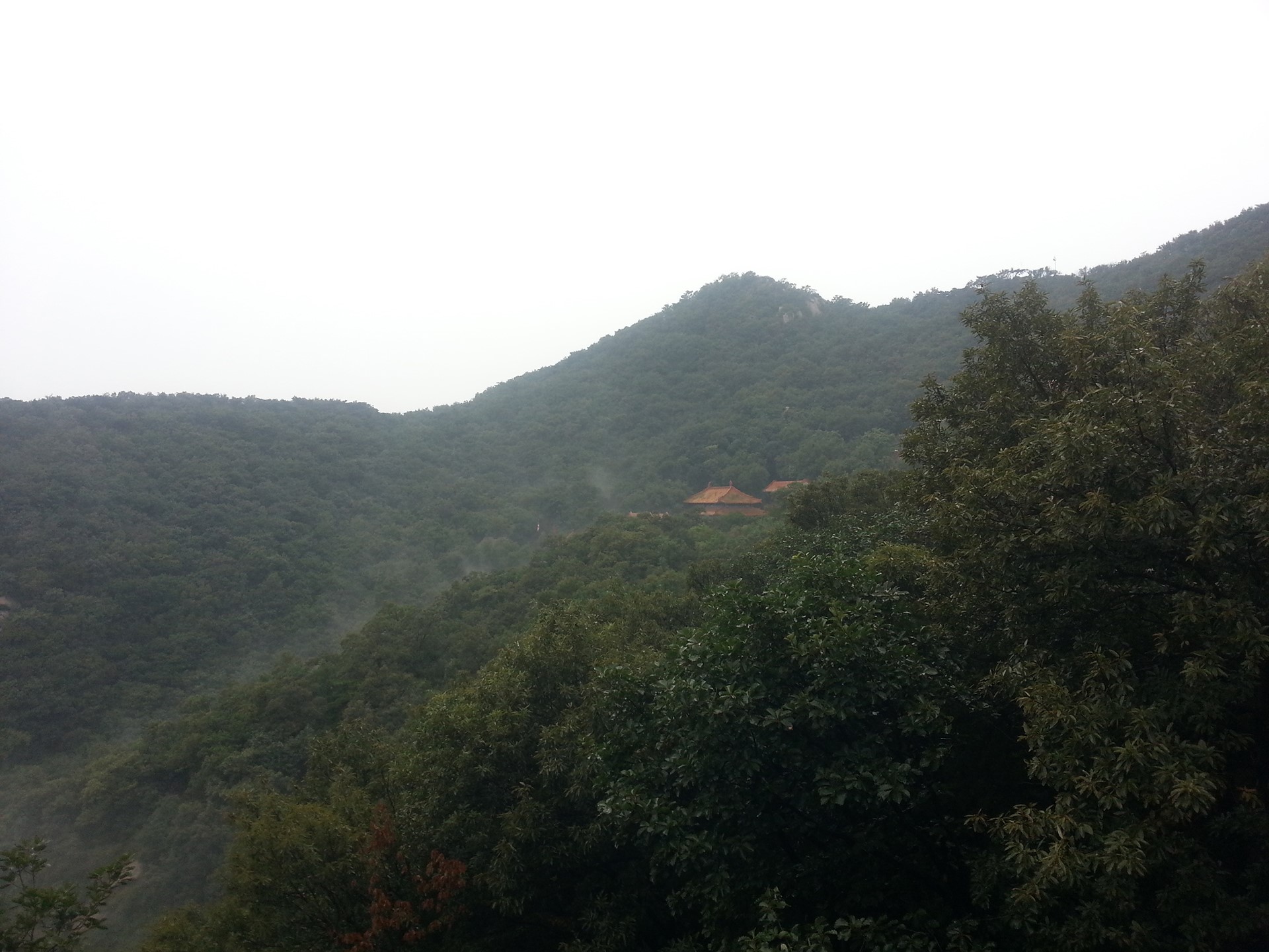 Misty mountains with traditional buildings nestled among trees HD Wallpaper