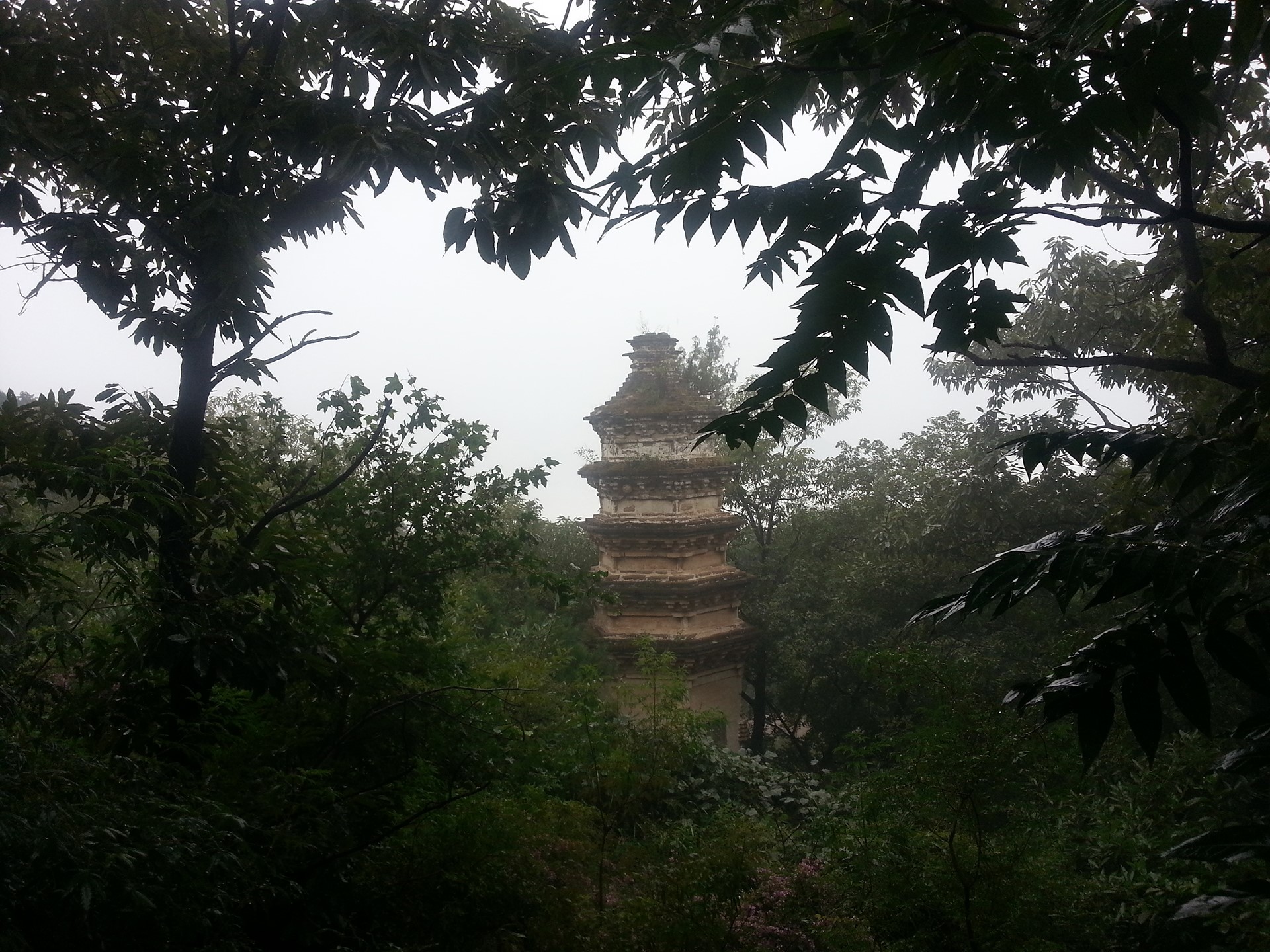 Pagoda in a misty forest HD Wallpaper