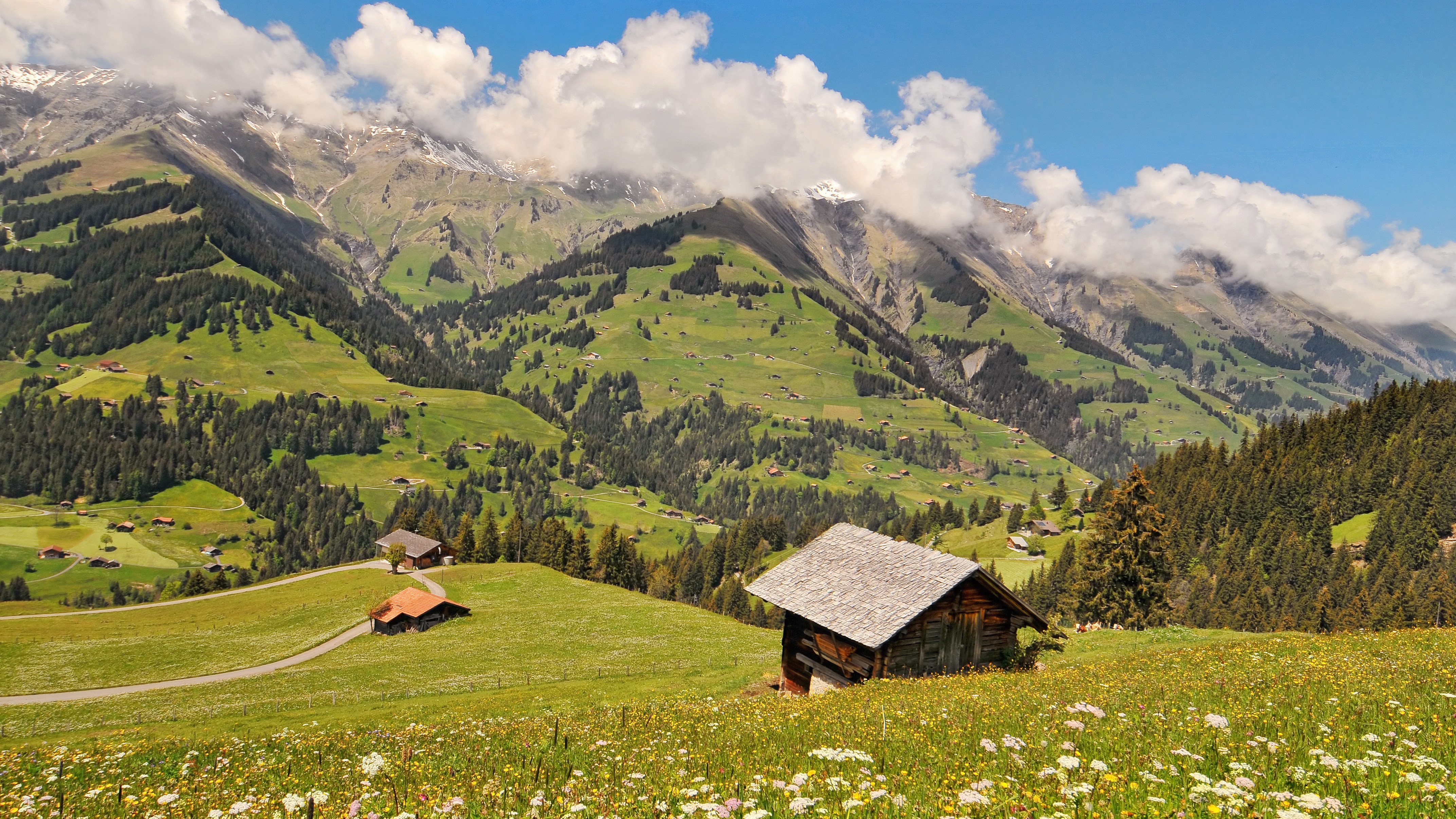4K Mountain Landscape with Alpine Village and Wildflowers HD Wallpaper