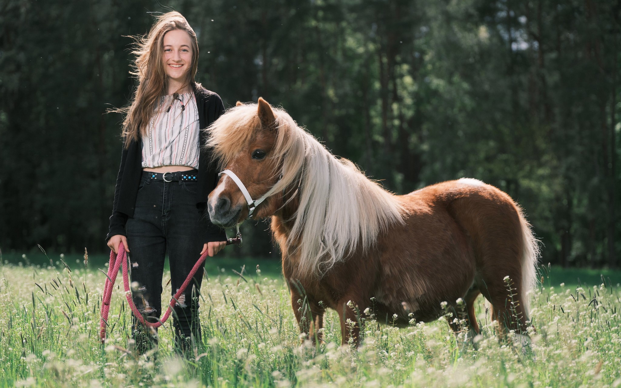Girl with a Pony in a Field HD Wallpaper