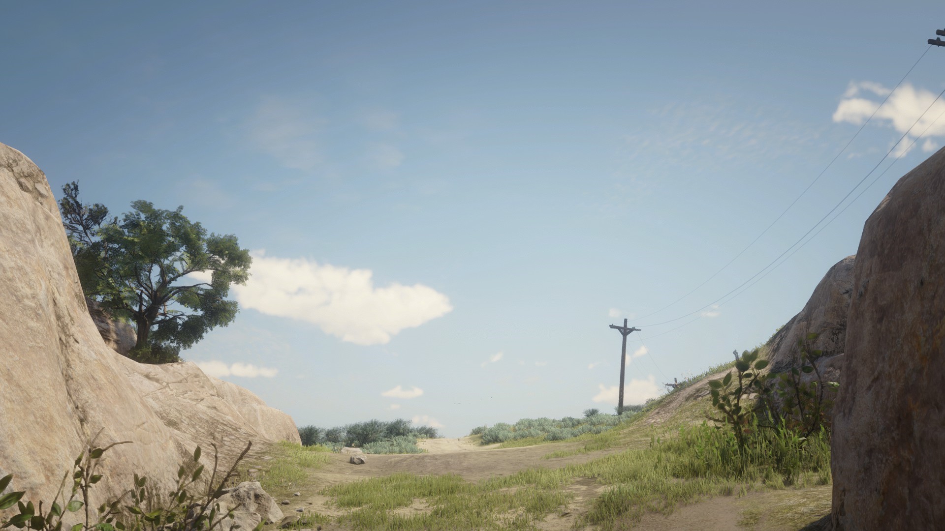 Red Dead Redemption 2 landscape with telephone poles HD Wallpaper