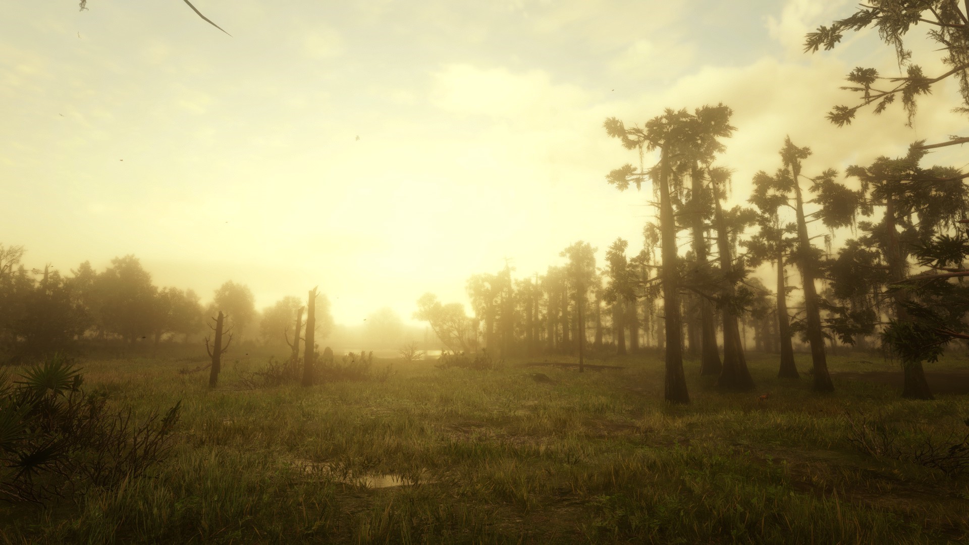 Red Dead Redemption 2 video game screenshot HD Wallpaper