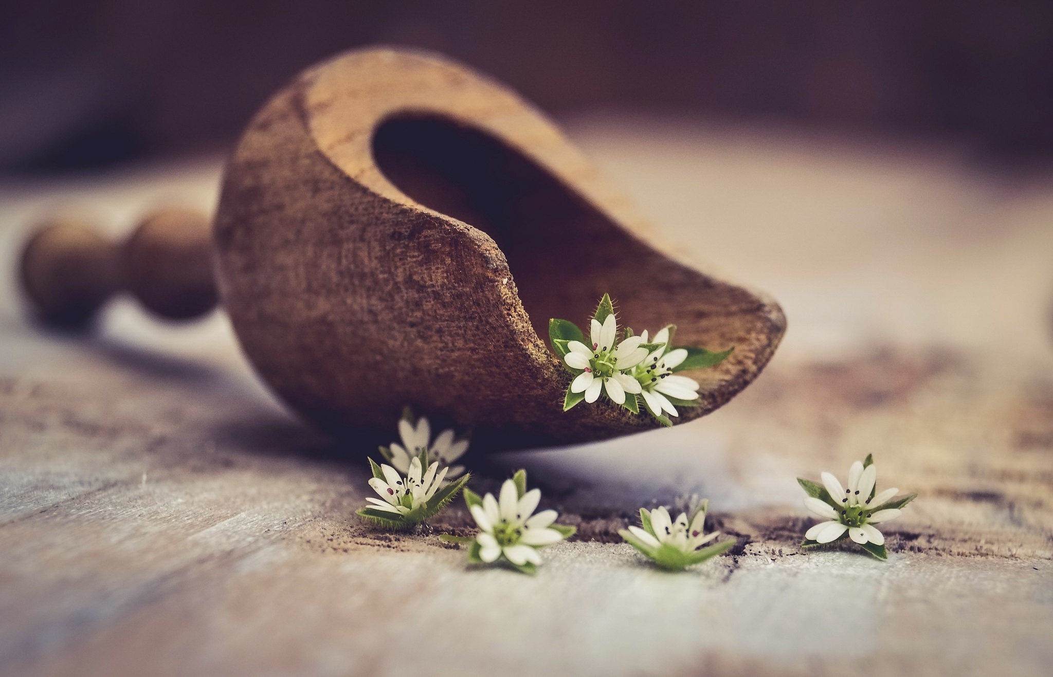 Wooden scoop with small white flowers on a wooden surface HD Wallpaper
