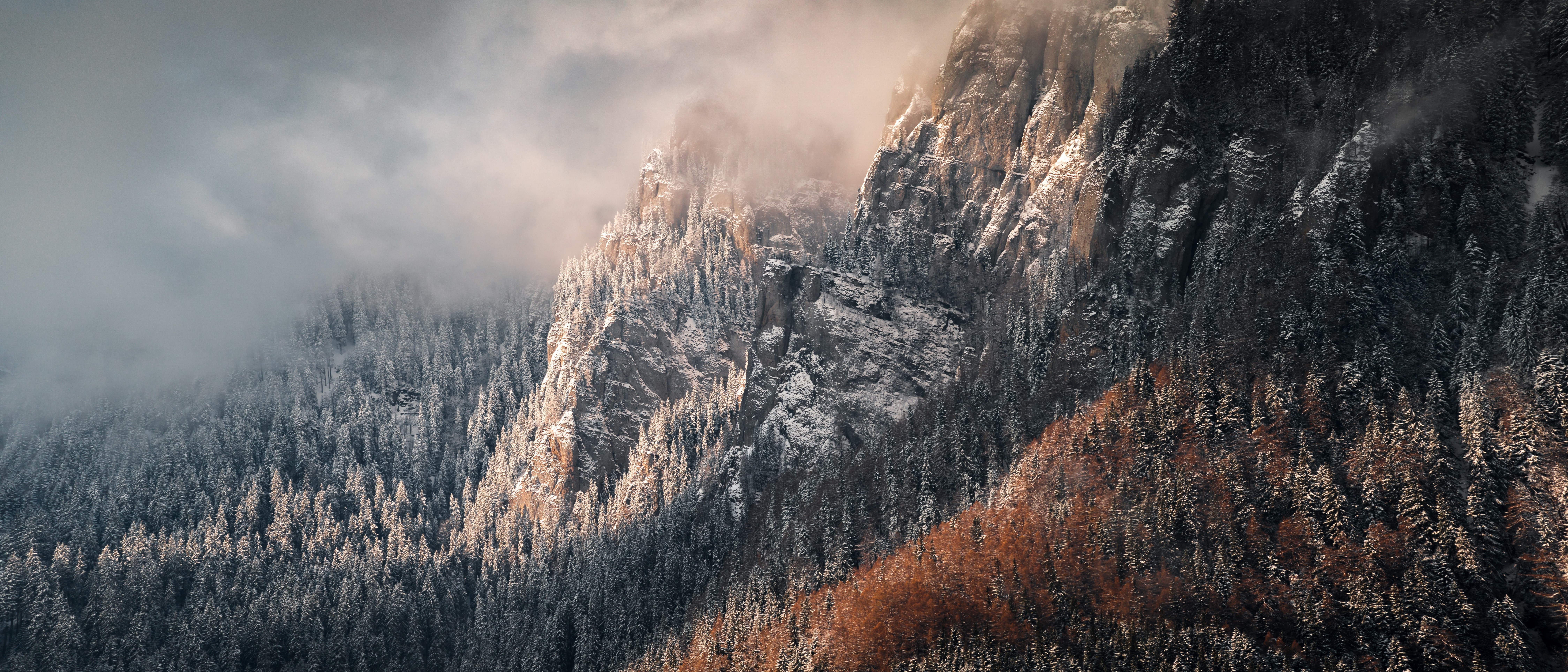 4K snowy mountain landscape with forest HD Wallpaper