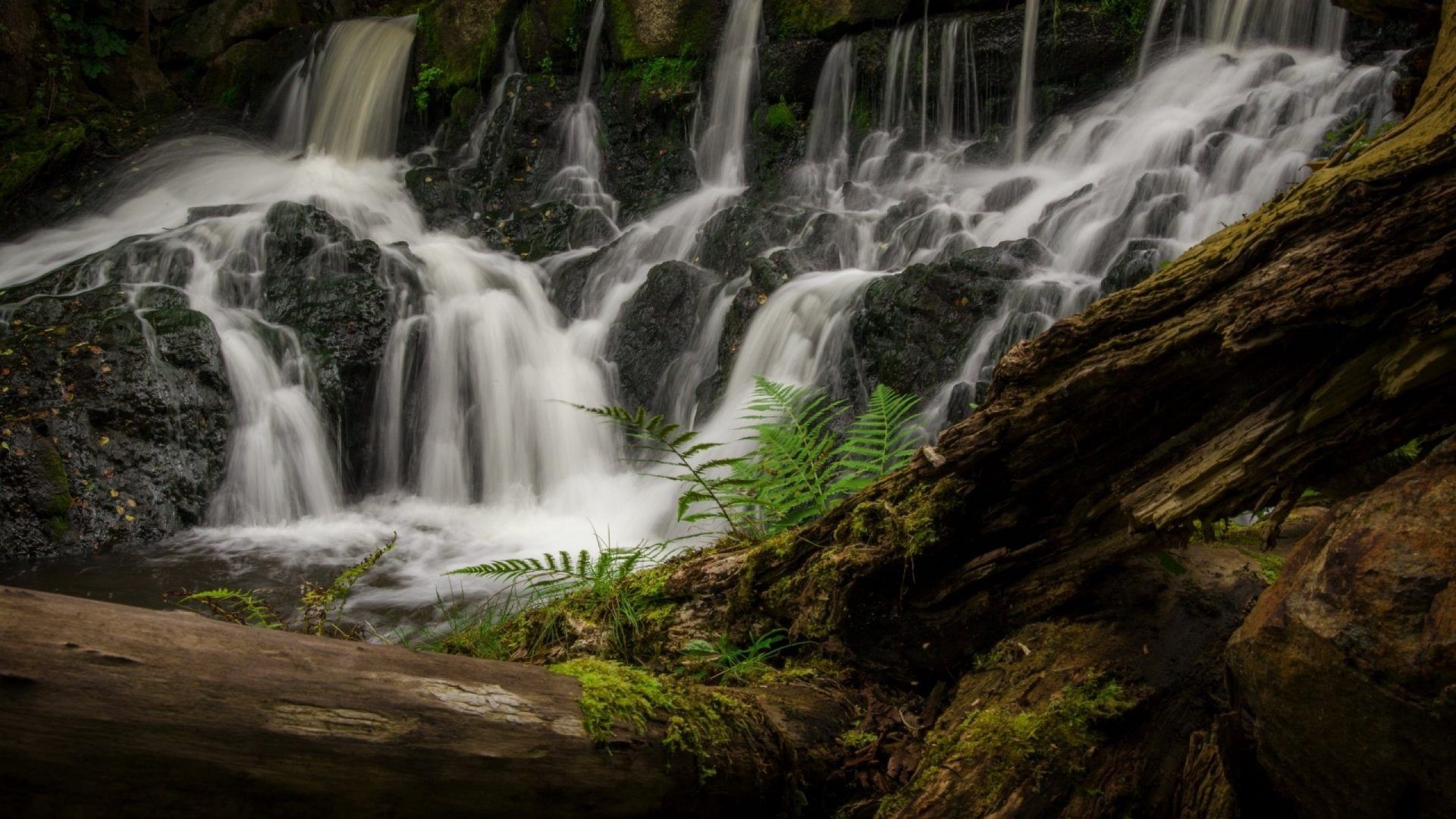 Waterfall cascading over moss-covered rocks with ferns and fallen logs HD Wallpaper