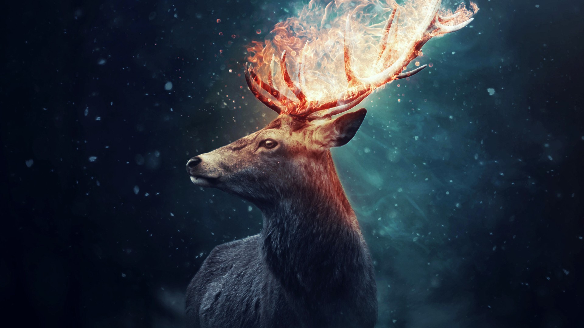 Deer with flaming antlers in dark forest HD Wallpaper