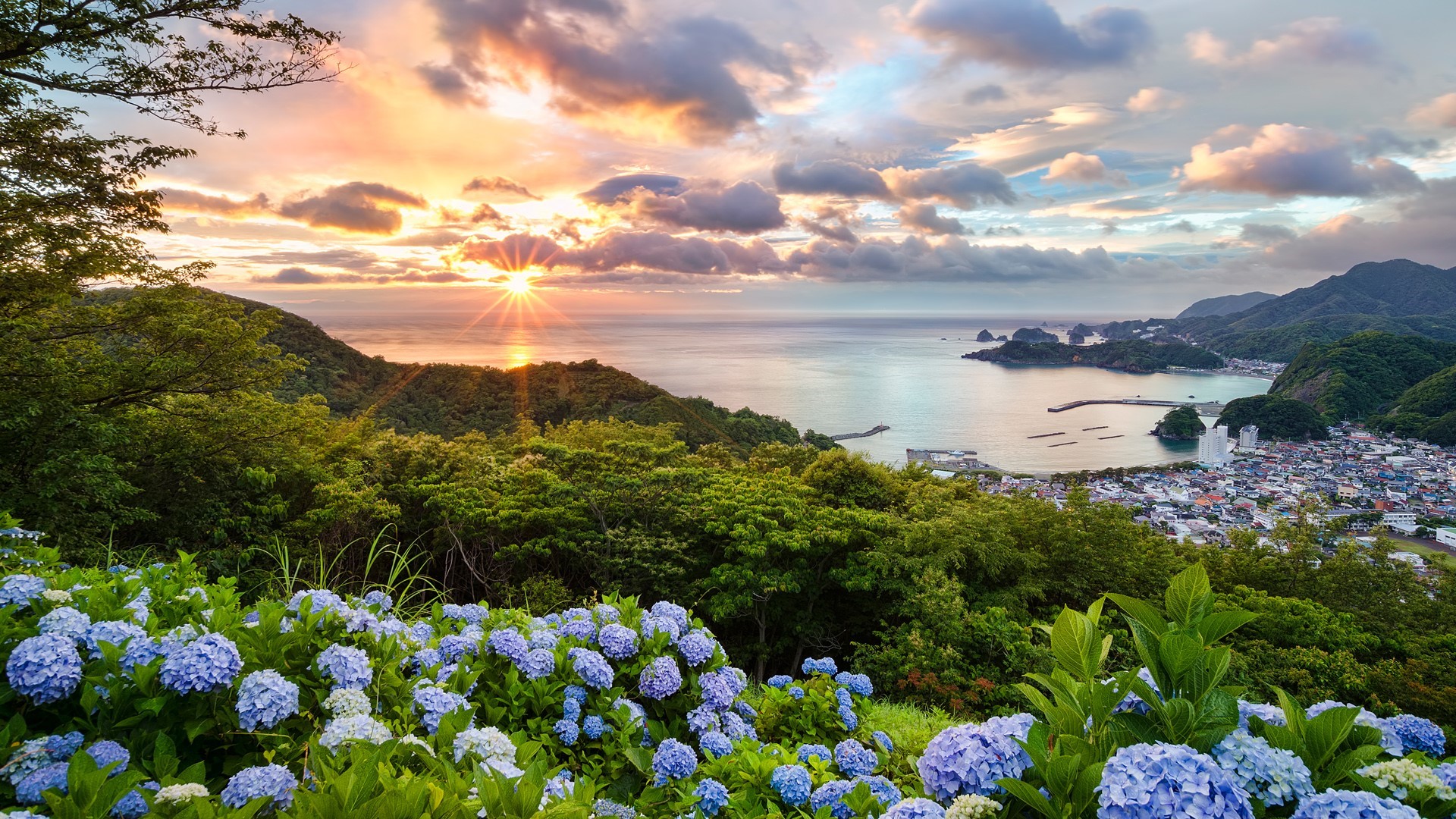 Sunset over a coastal town with hydrangeas in Japan HD Wallpaper