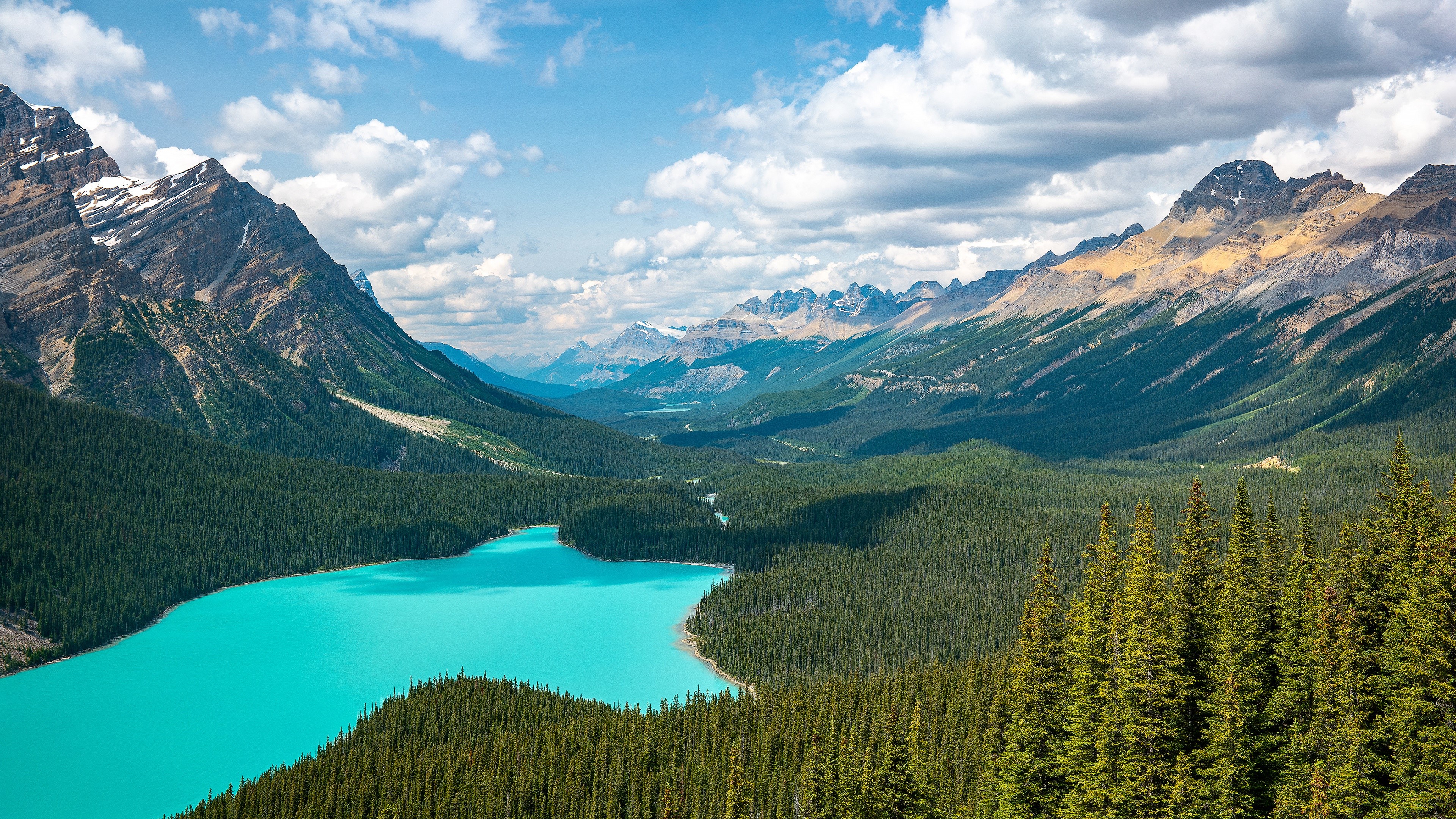 Turquoise lake surrounded by pine forest and mountains HD Wallpaper