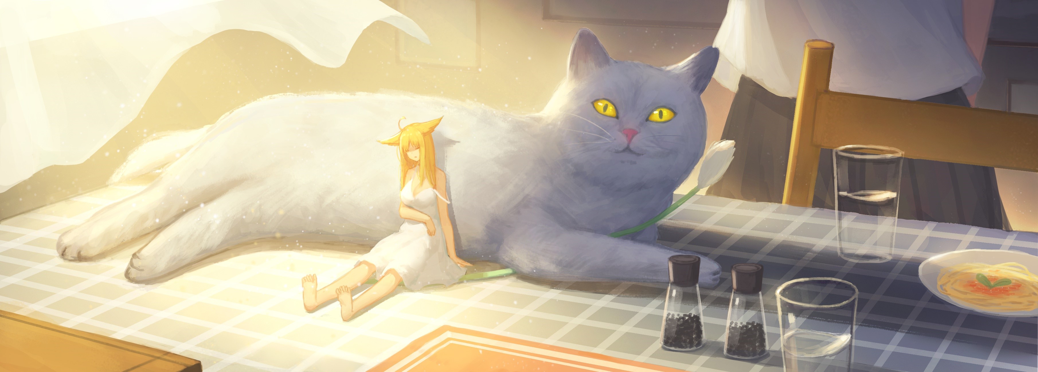 Girl with cat and food on table HD Wallpaper