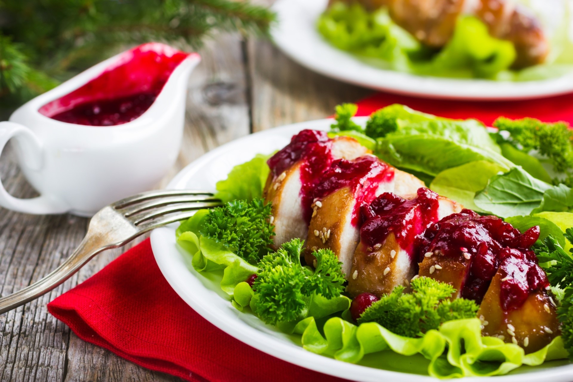 Sliced chicken breast with cranberry sauce and salad HD Wallpaper