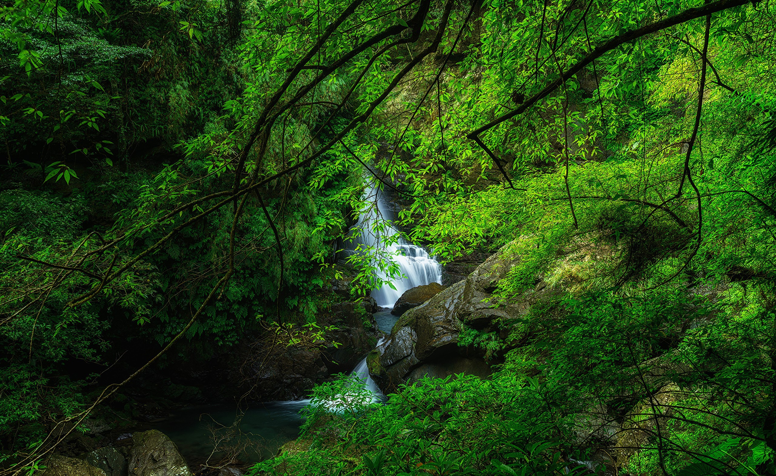 Waterfall in Manyueyuan Forest, Taiwan HD Wallpaper