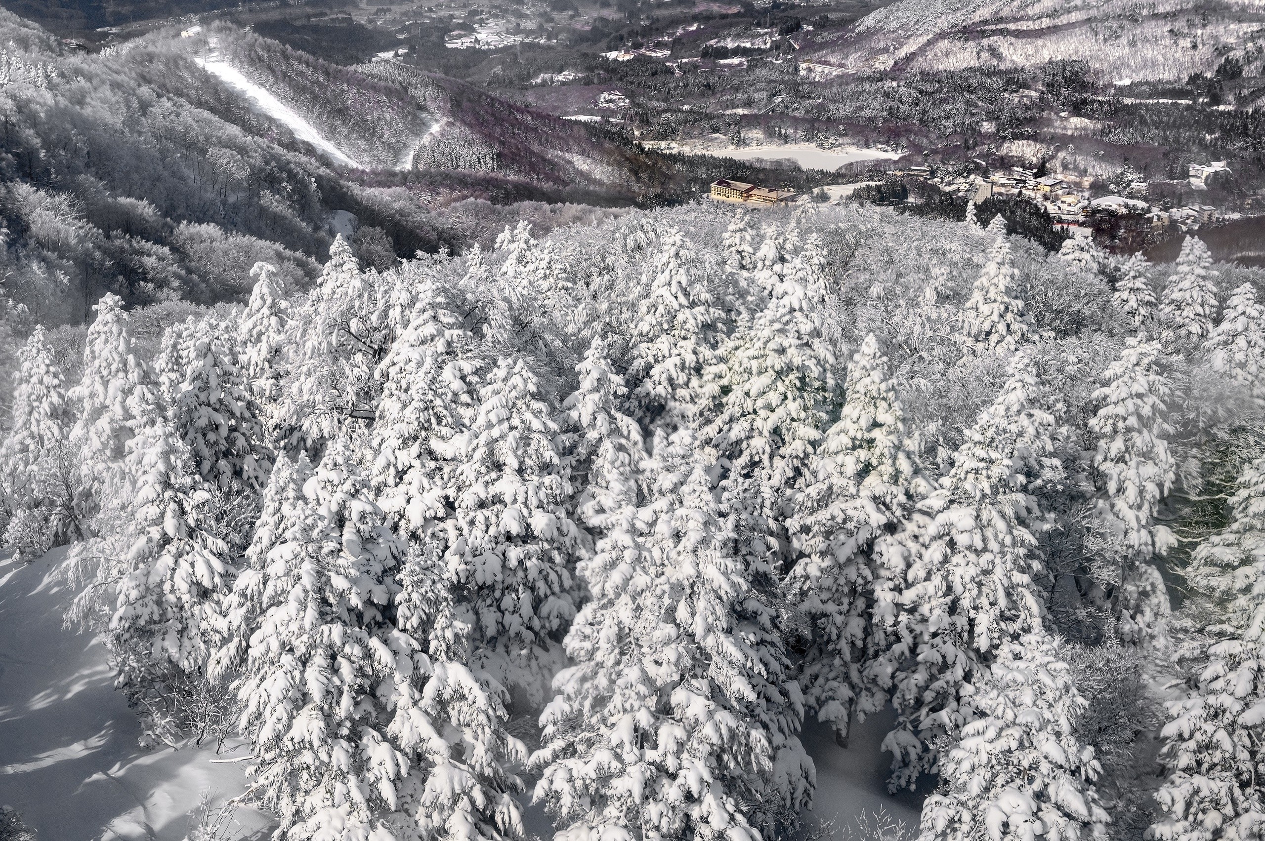 Snow-covered trees on a mountain in Japan HD Wallpaper