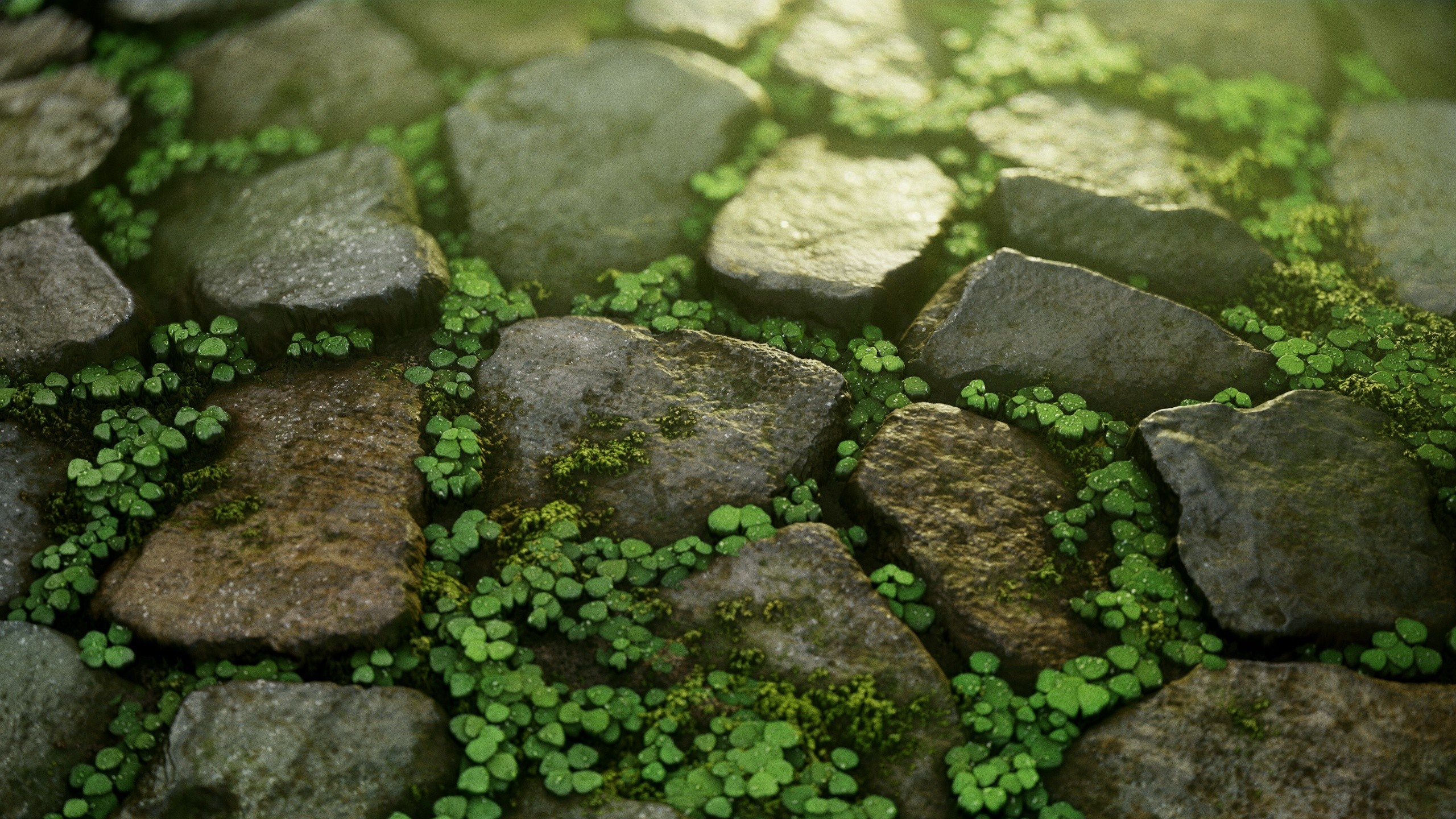 Stone path with grass and clovers HD Wallpaper