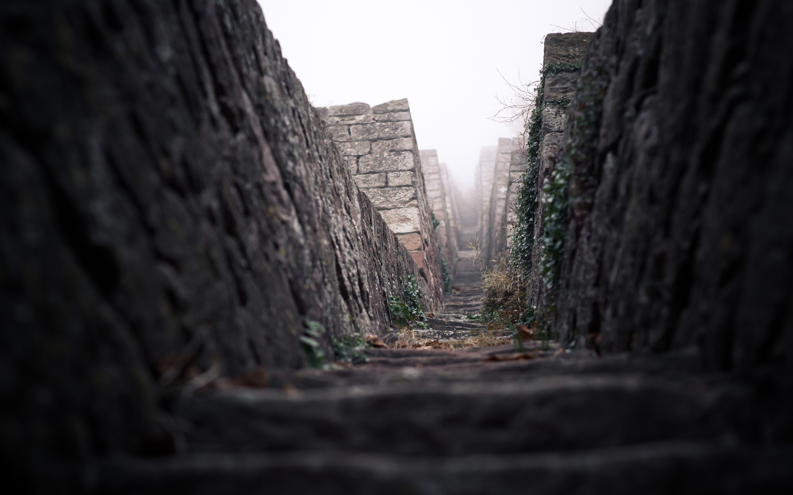 Stone steps between tall rock walls in fog HD Wallpaper