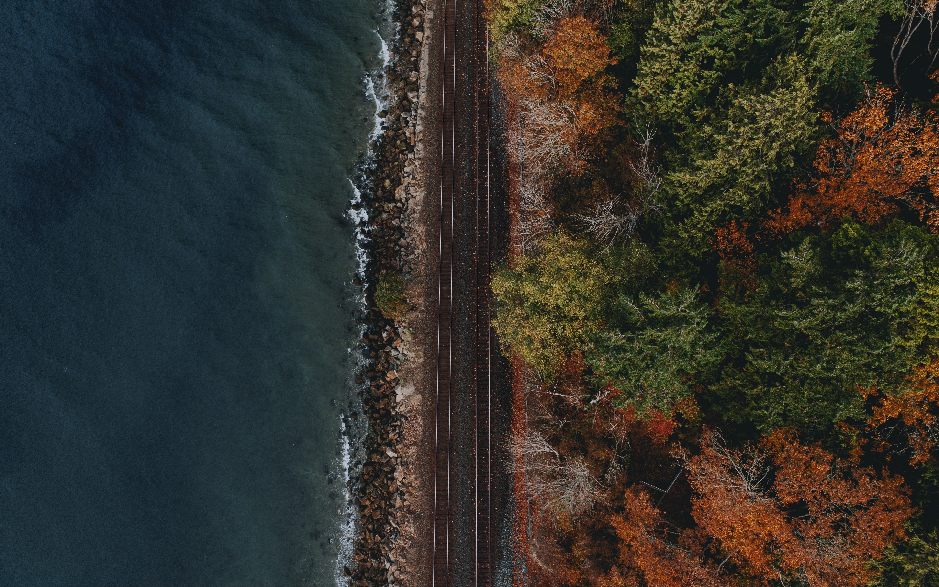 Aerial view of railroad tracks by the ocean and autumn forest HD Wallpaper
