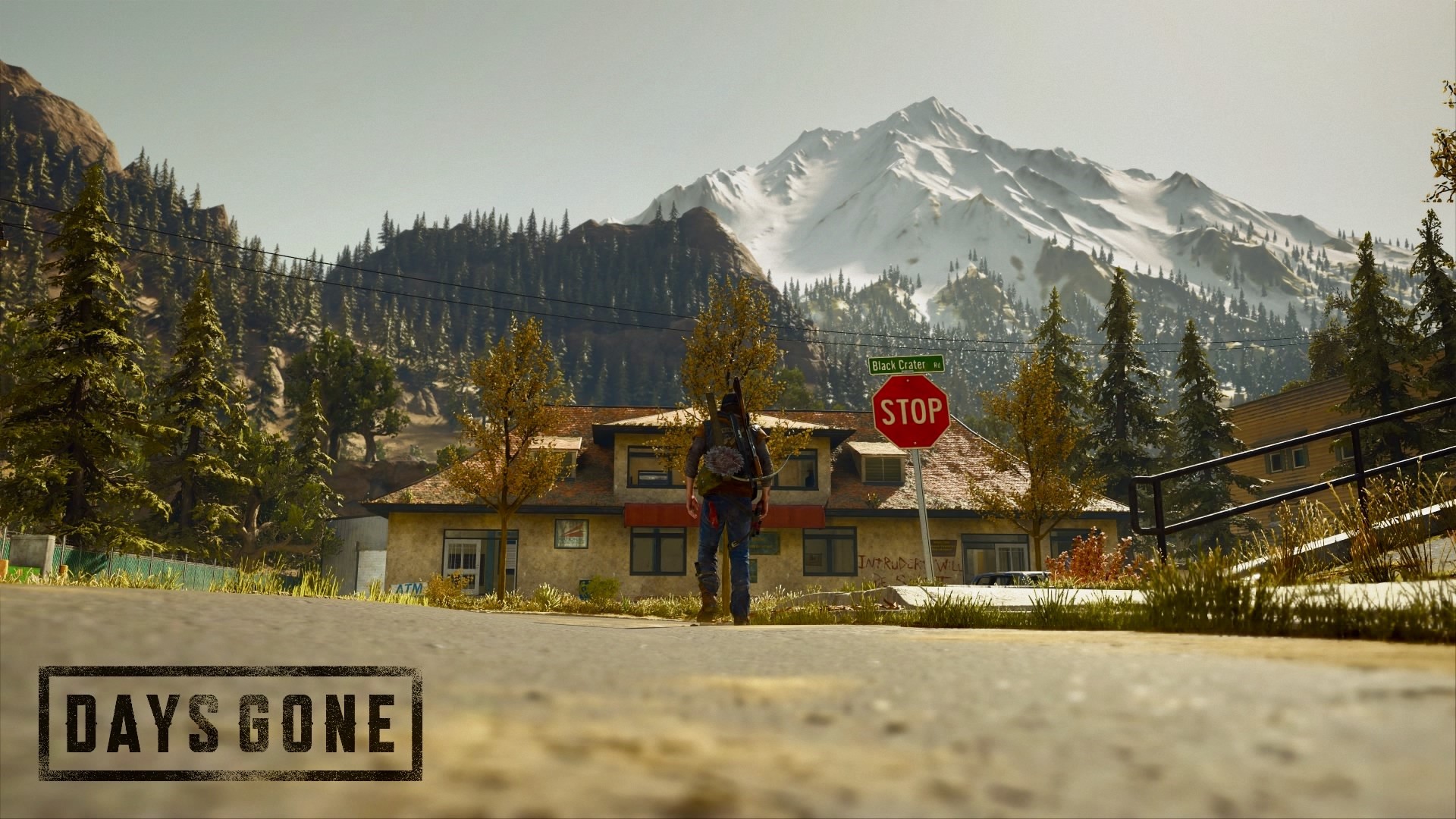 Days Gone video game HD Wallpaper