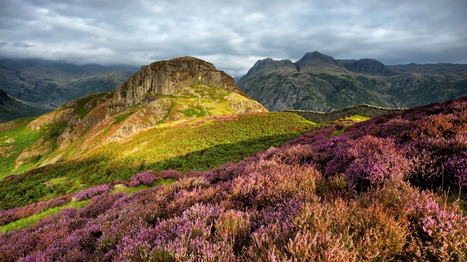 Lingmoor Fell, Lake District, UK landscape with heather and mountains HD Wallpaper