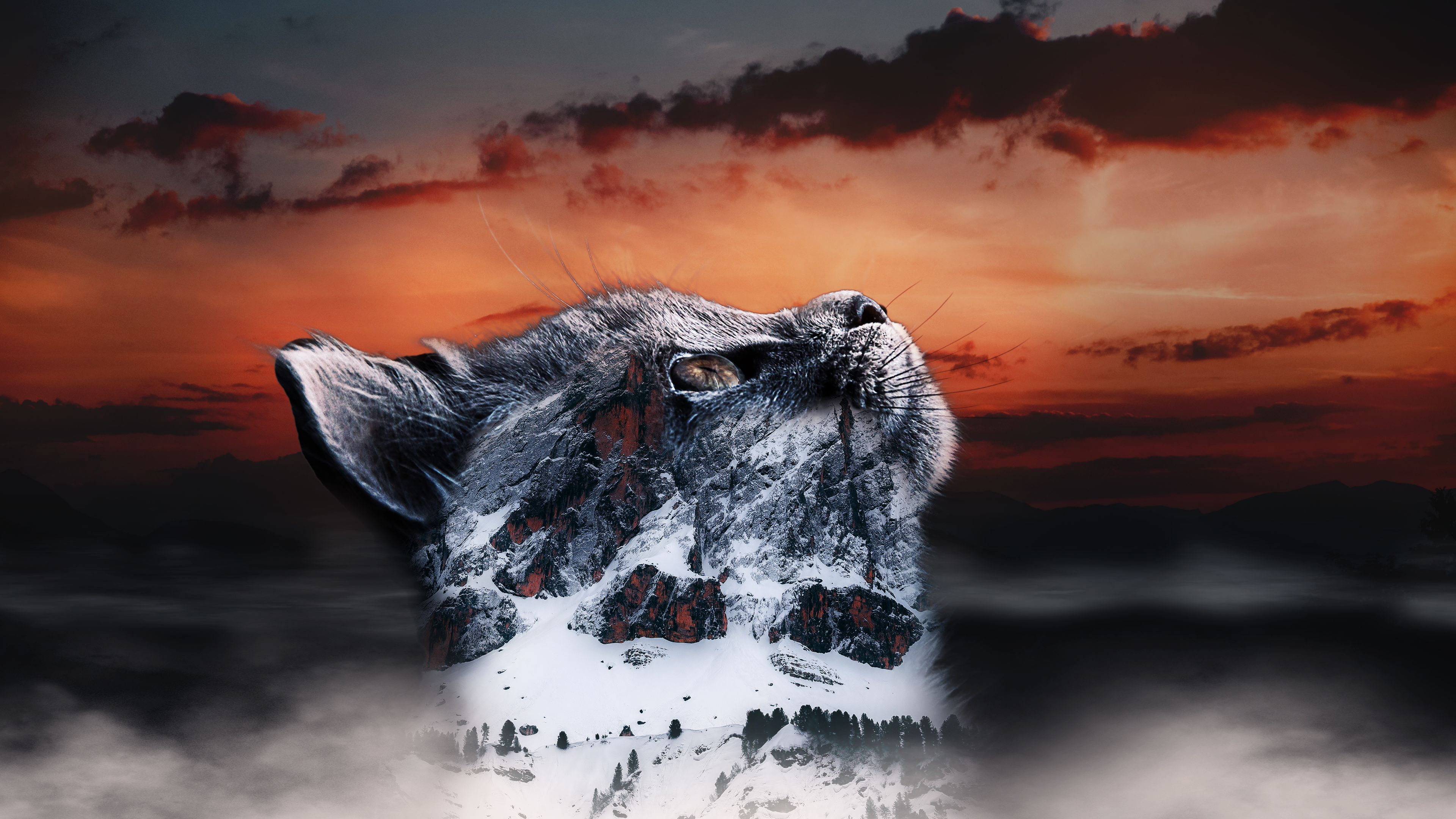 Cat with mountain landscape overlay at sunset HD Wallpaper