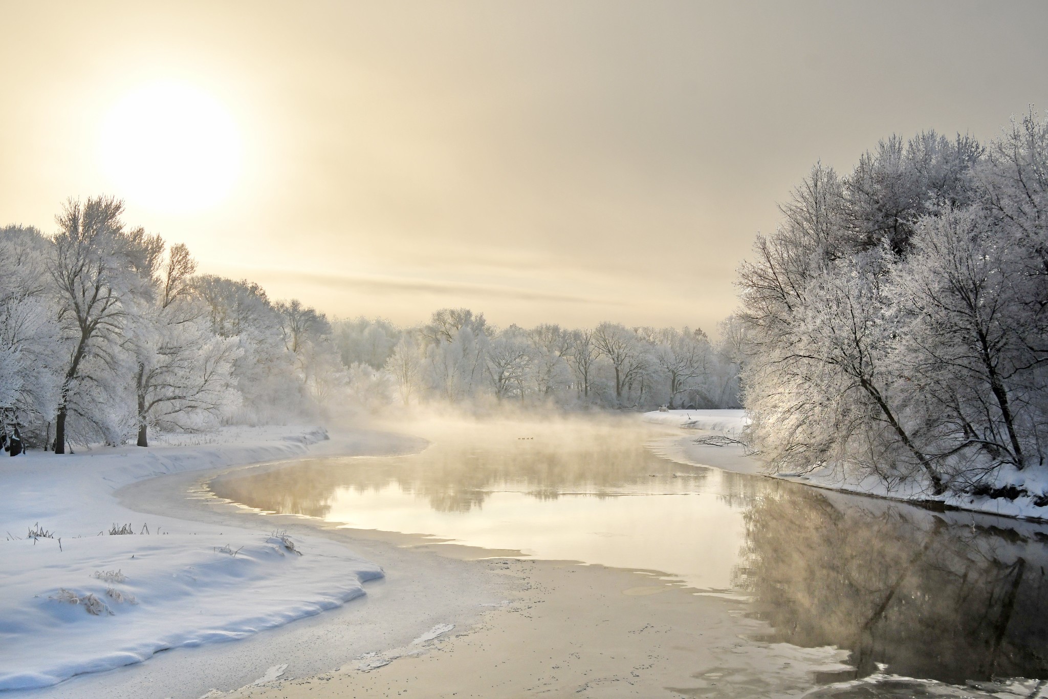 Winter river with frost-covered trees and sun HD Wallpaper