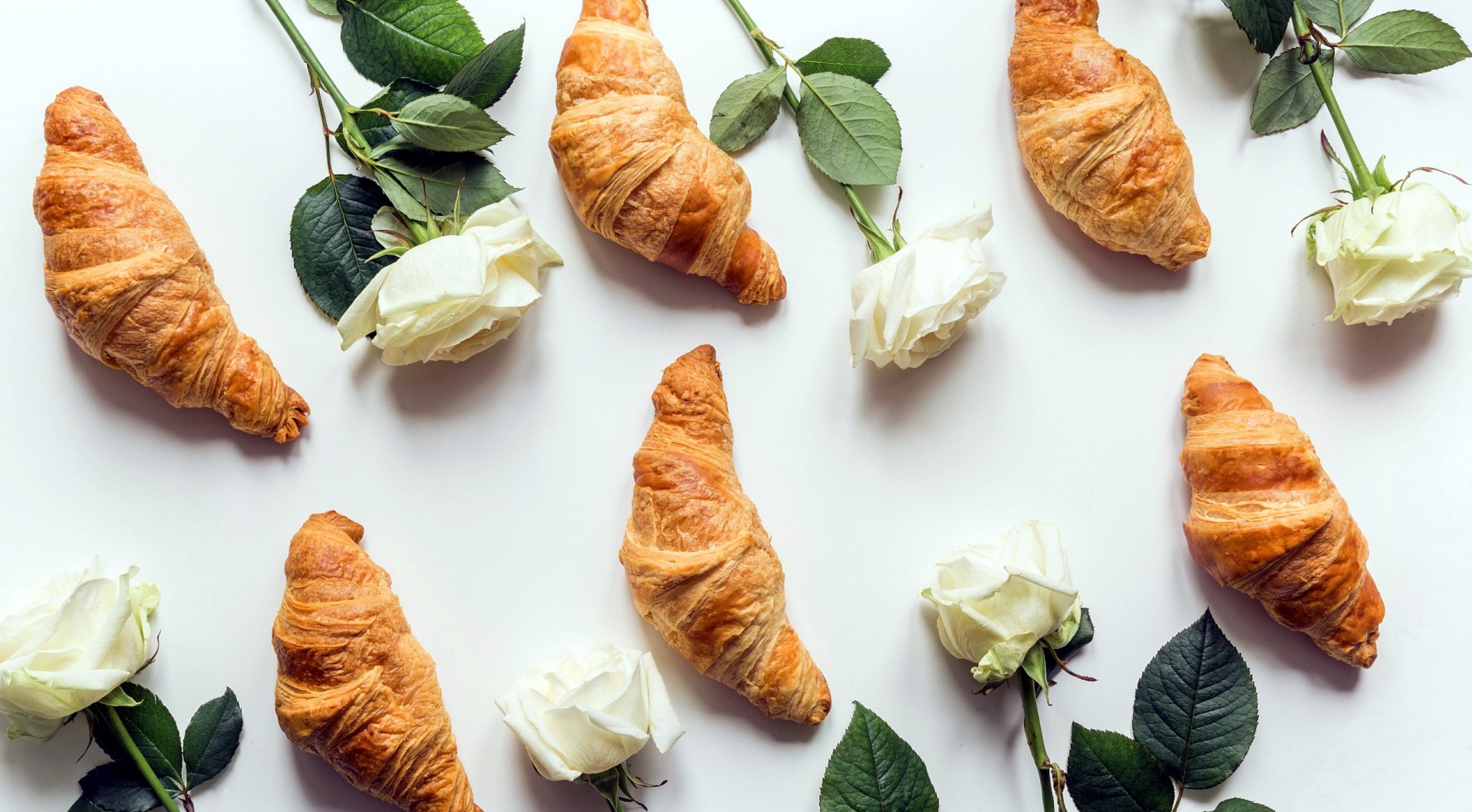Croissants and white roses on a white background HD Wallpaper