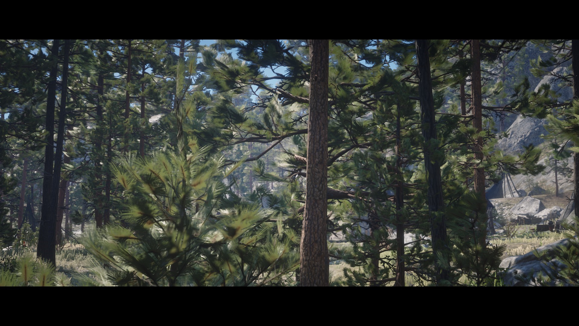 Red Dead Redemption 2 forest scene HD Wallpaper