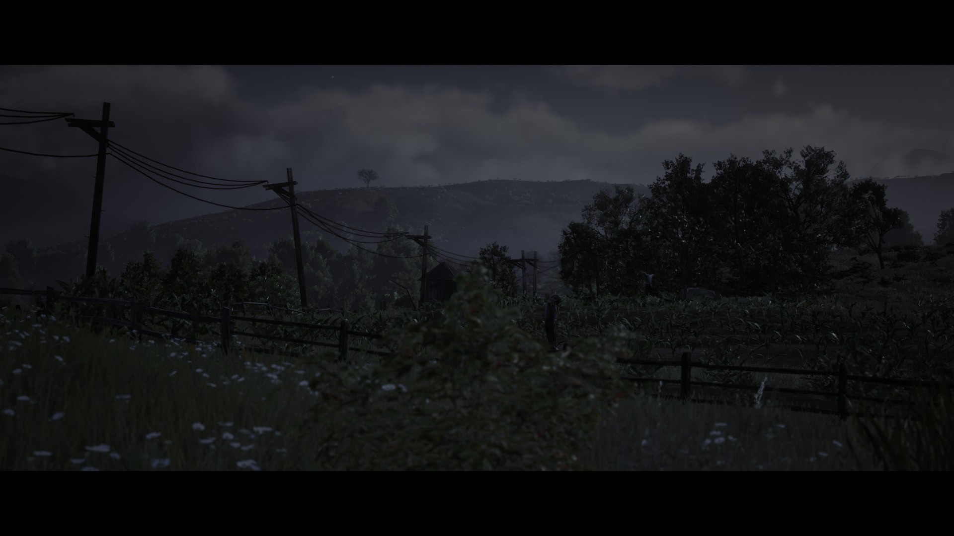Red Dead Redemption 2 landscape with telephone poles at night HD Wallpaper