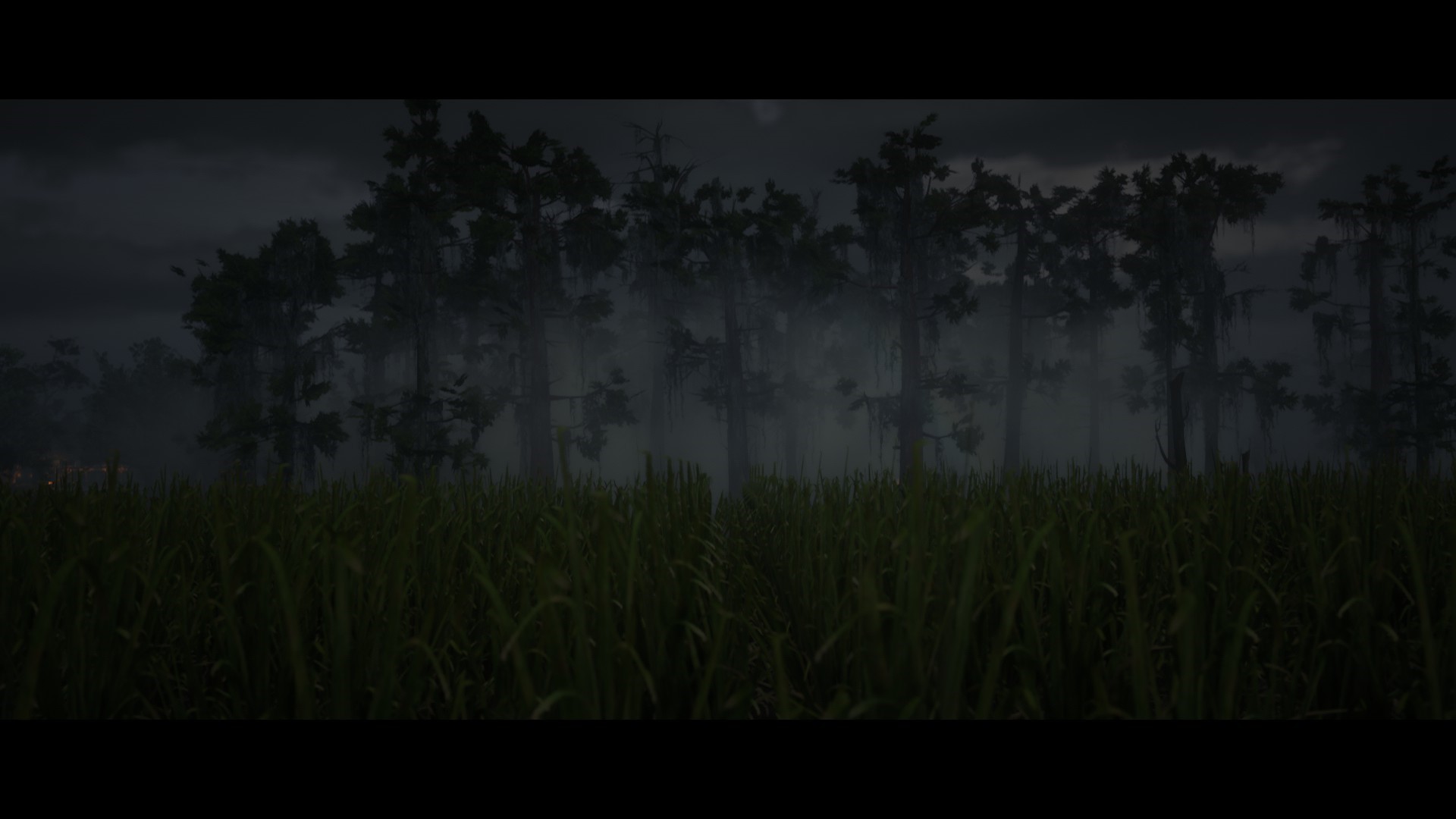 Red Dead Redemption 2 Swamp Landscape HD Wallpaper