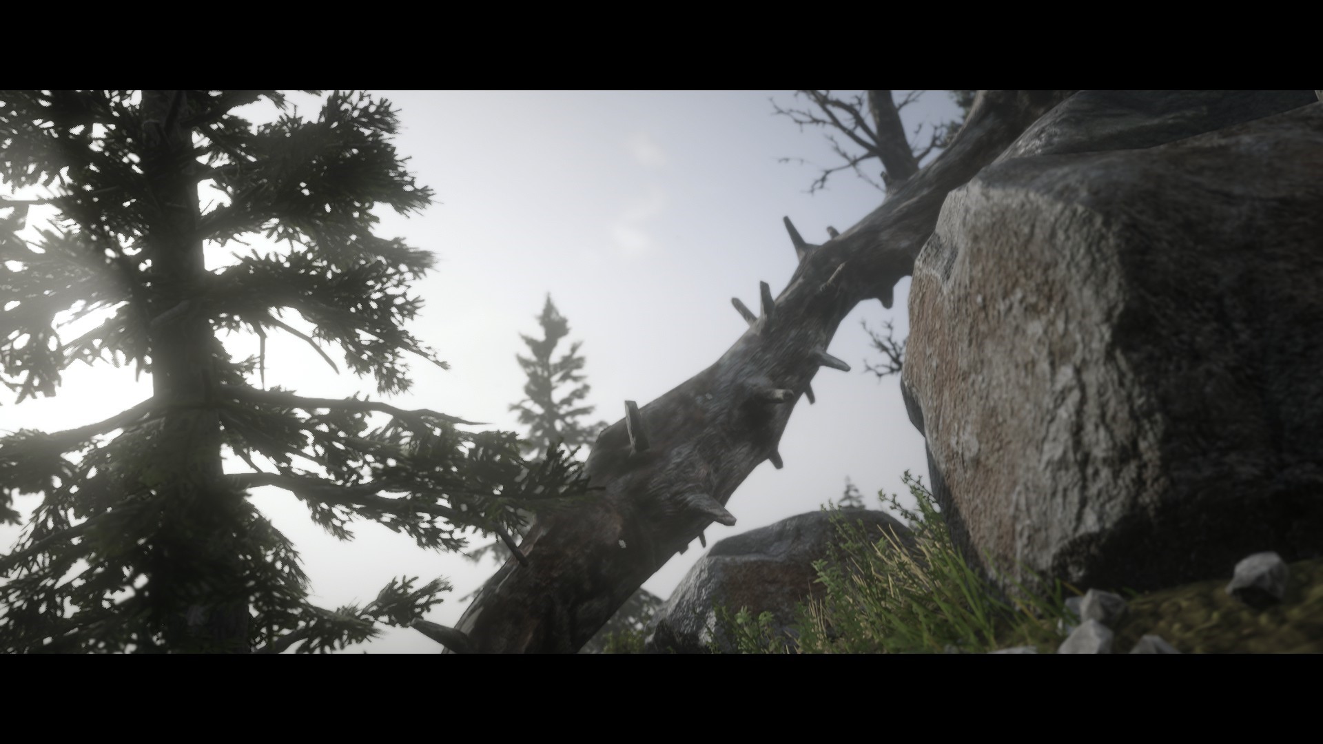 Red Dead Redemption 2 nature scene HD Wallpaper