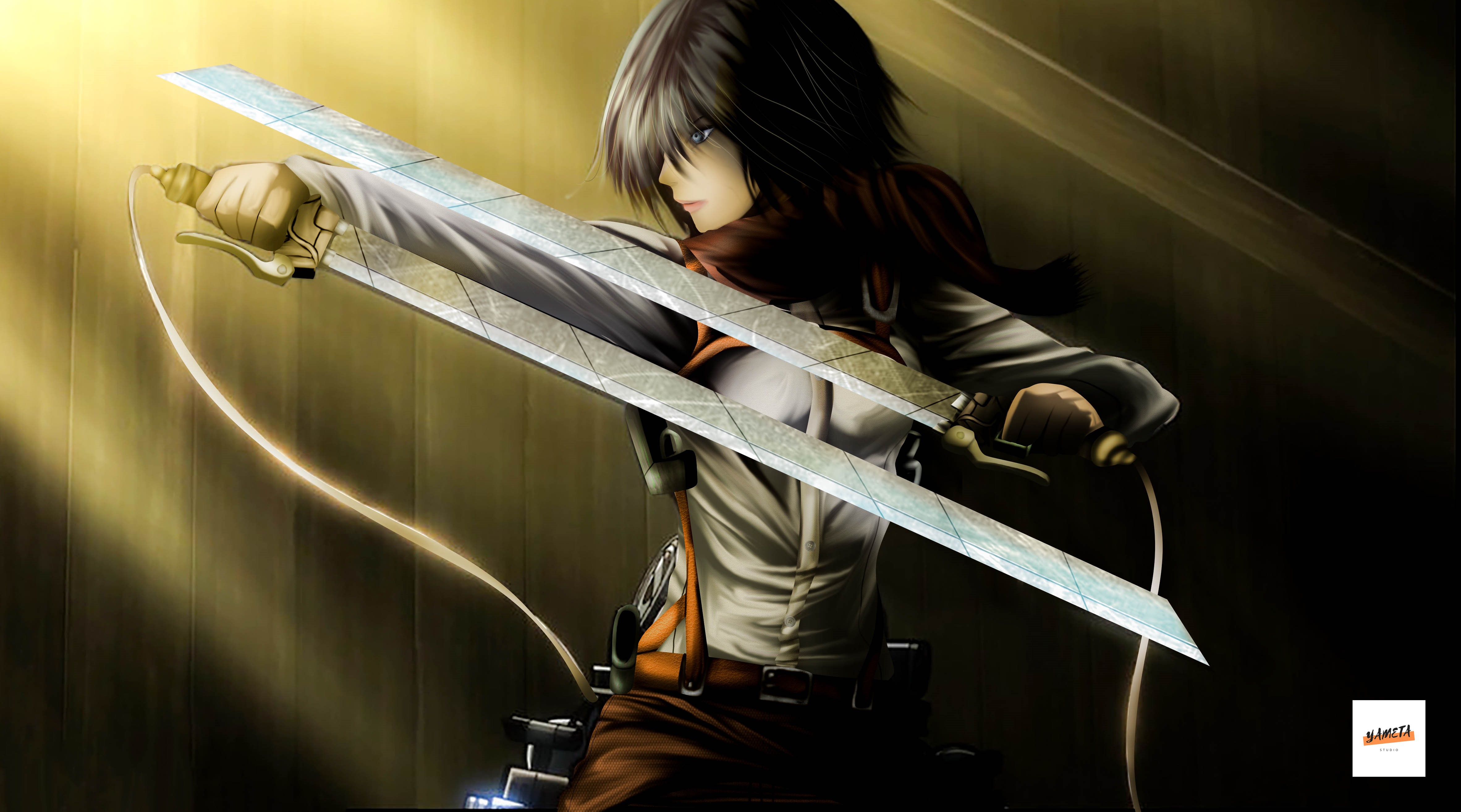 Mikasa Ackerman from Shingeki no Kyojin with swords HD Wallpaper
