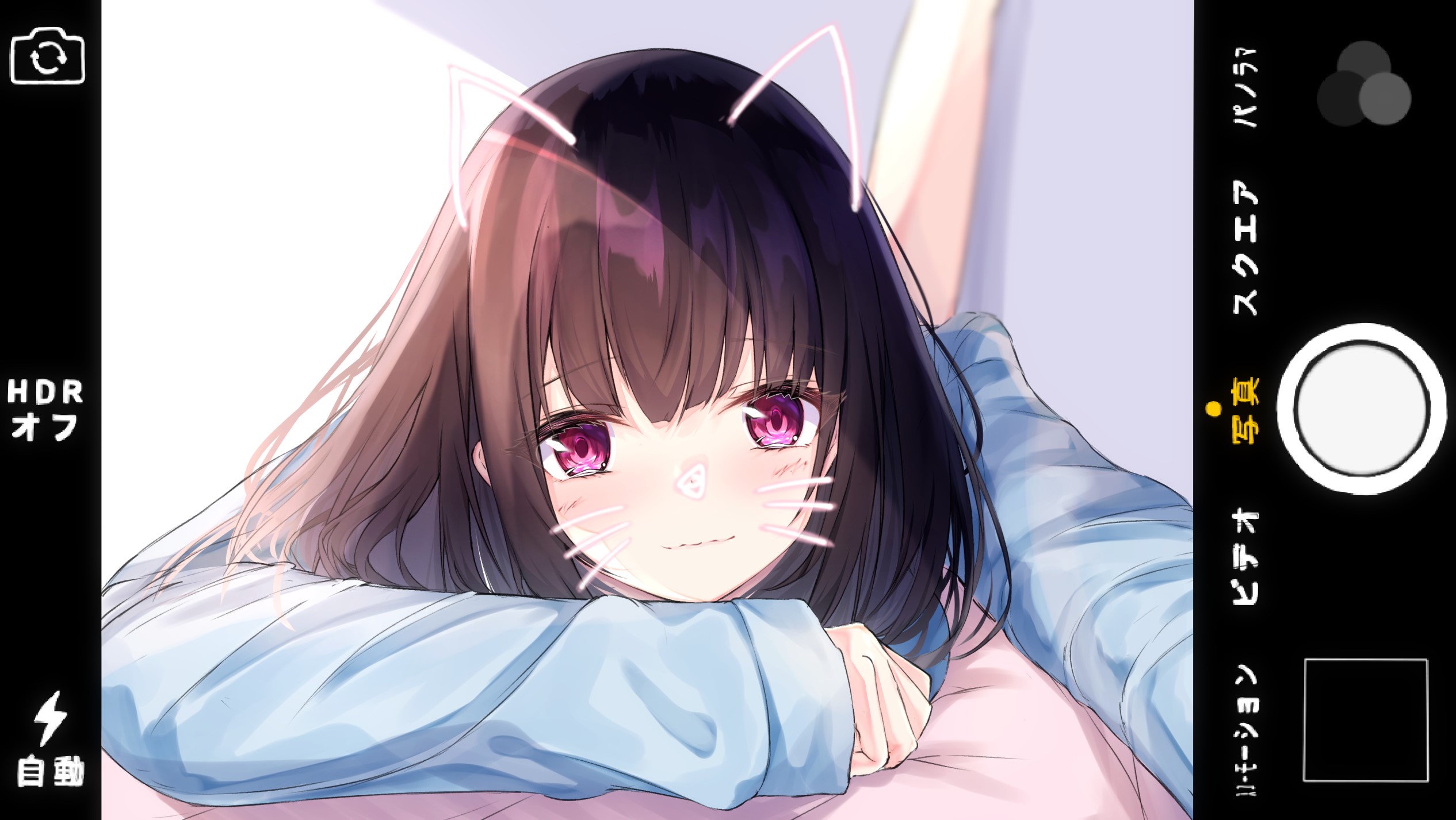 Anime girl with cat ears and purple eyes HD Wallpaper