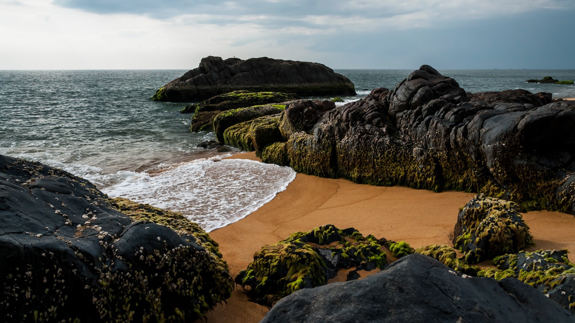 Rocky coastline with moss and waves in India HD Wallpaper