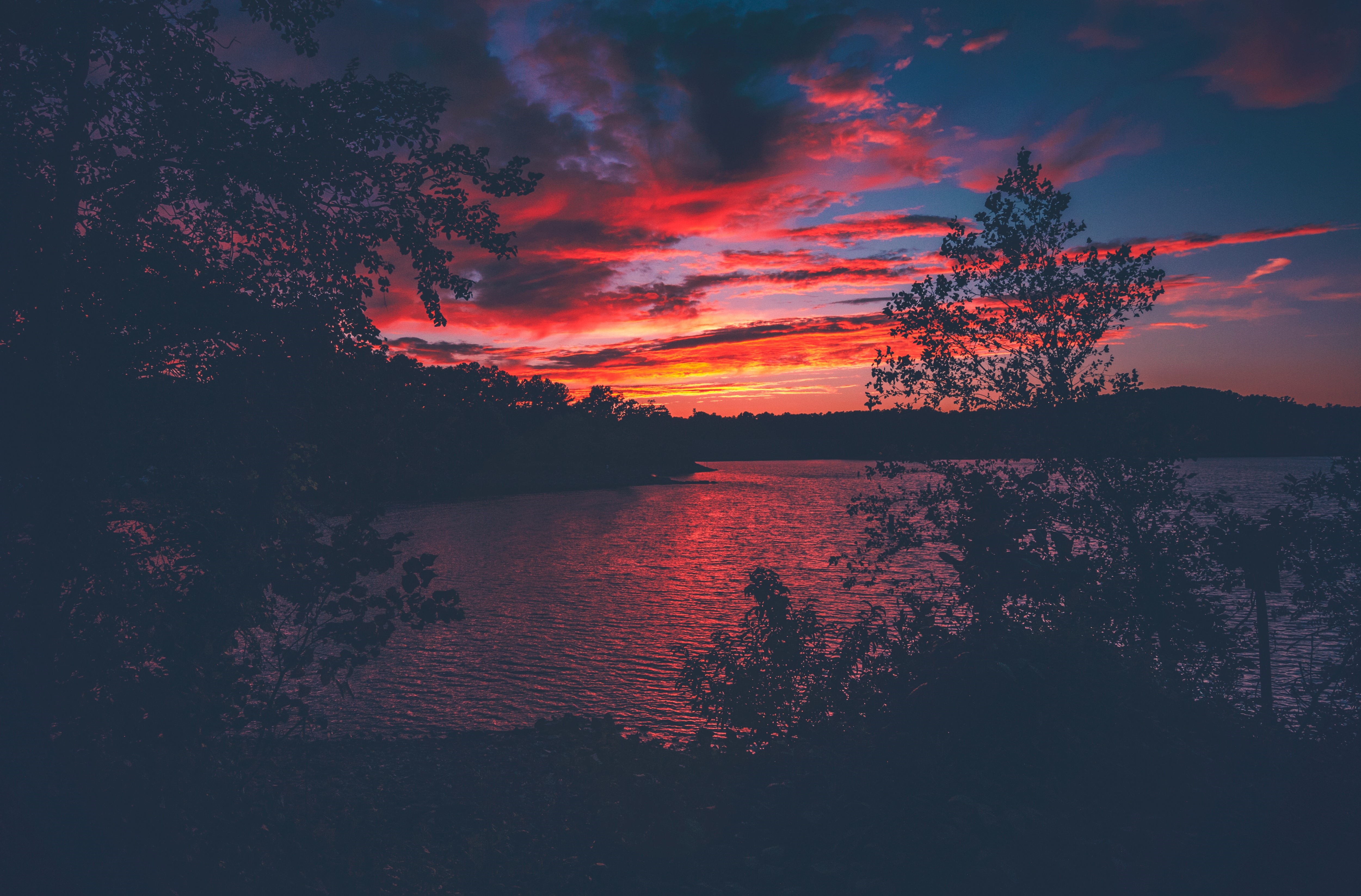 Sunset over Lake Lanier with silhouetted trees HD Wallpaper