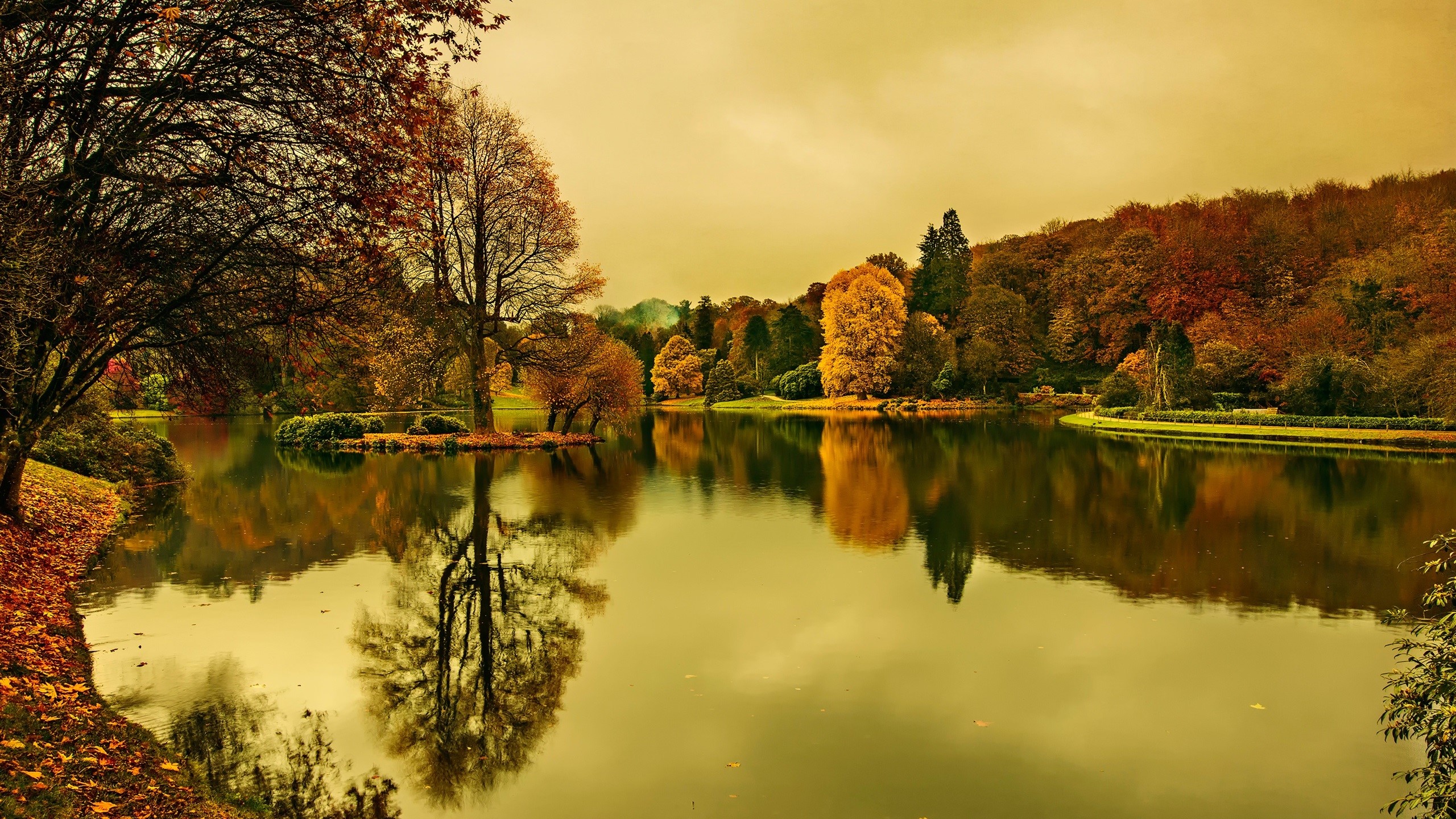 Autumn trees reflecting in a lake at dusk HD Wallpaper