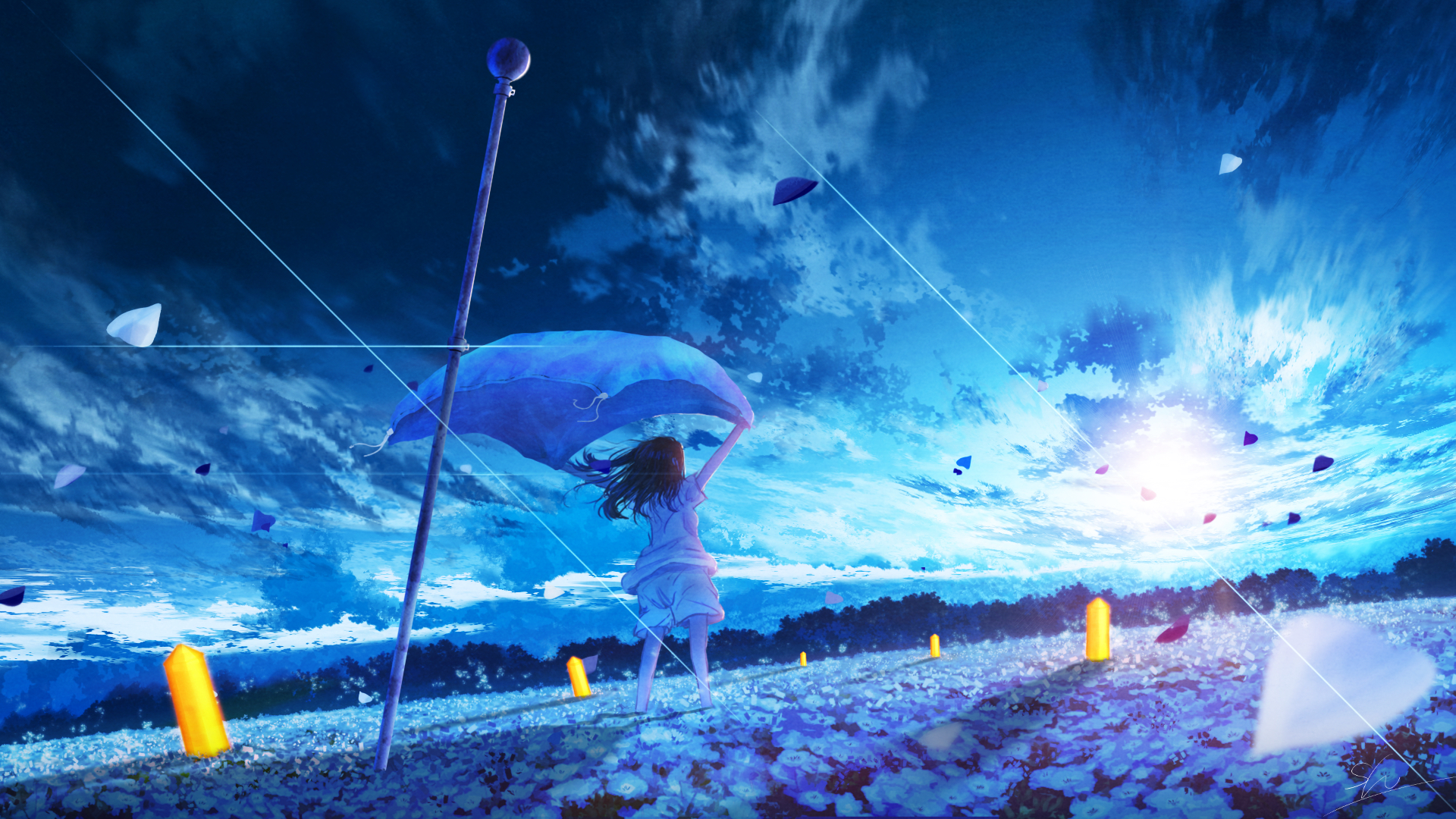 Girl holding a blue flag in a field of flowers HD Wallpaper