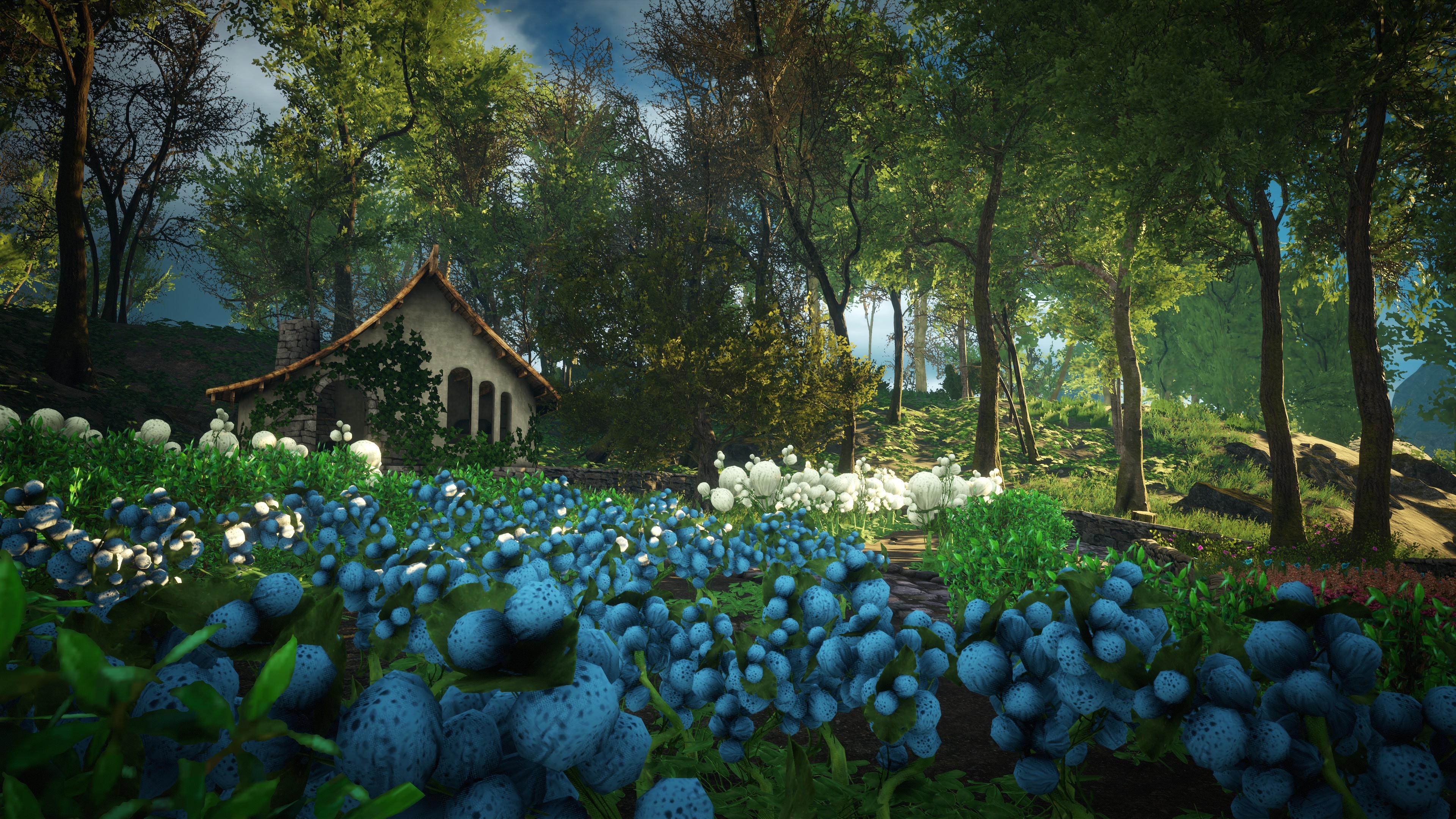 4K nature scene with flowers and trees HD Wallpaper
