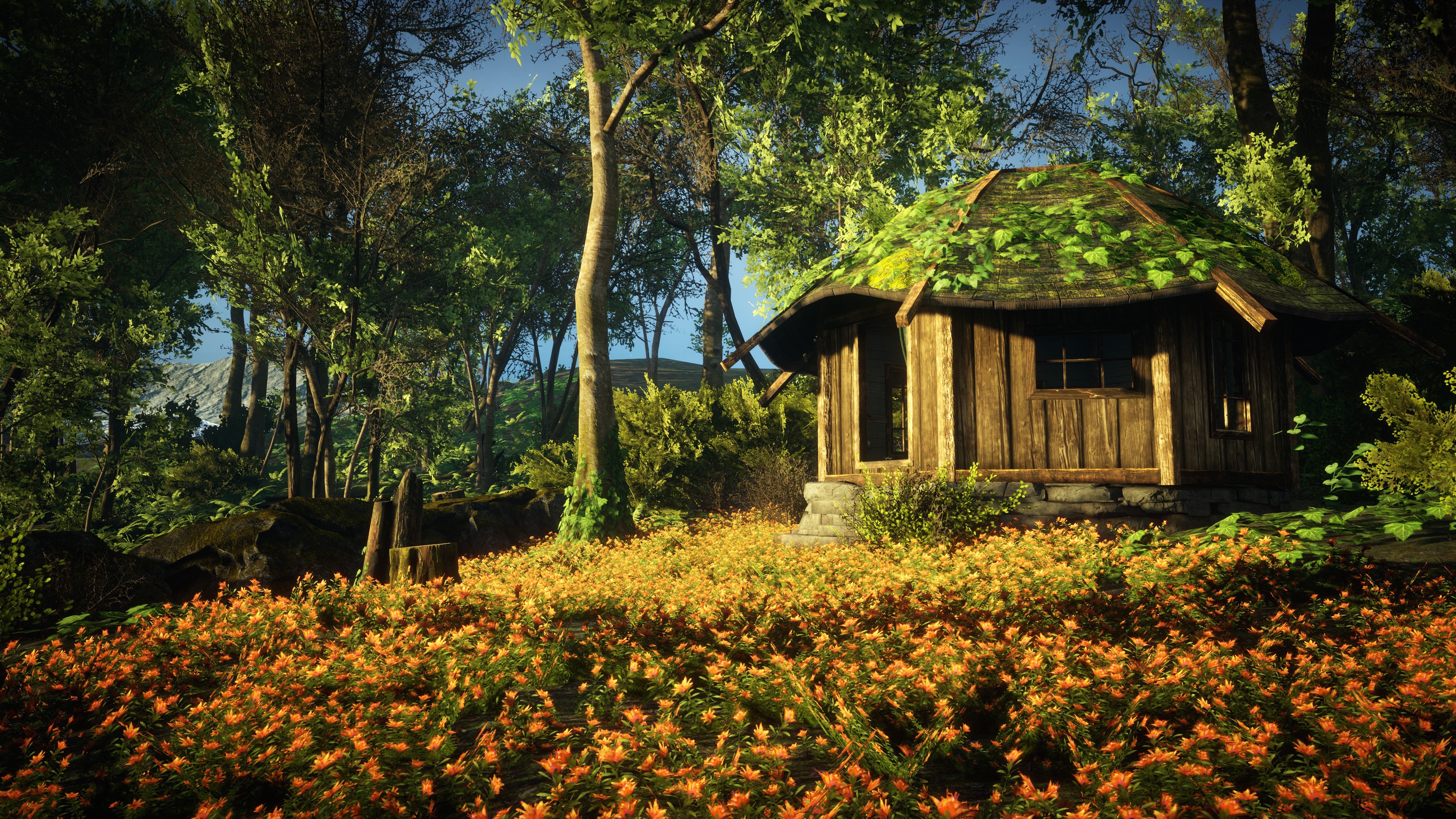 Wooden cabin in a forest with orange flowers HD Wallpaper