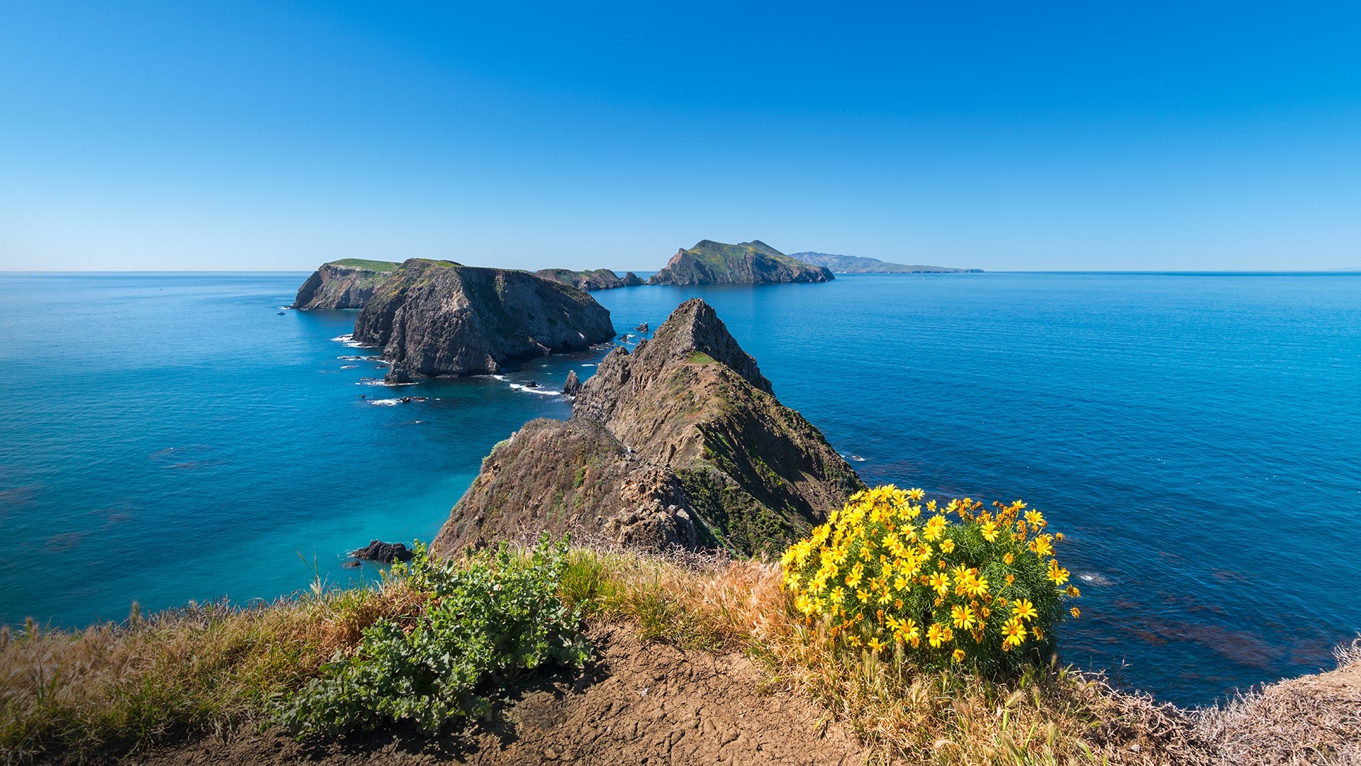 Anacapa Island, California Coastline with Yellow Flowers HD Wallpaper