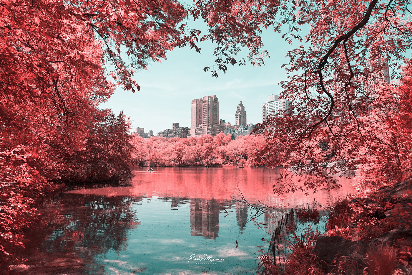Central Park Lake with Manhattan Skyline HD Wallpaper