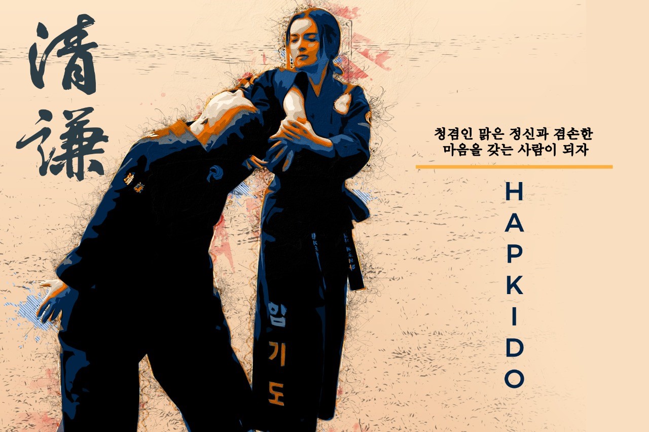 Hapkido martial arts demonstration HD Wallpaper