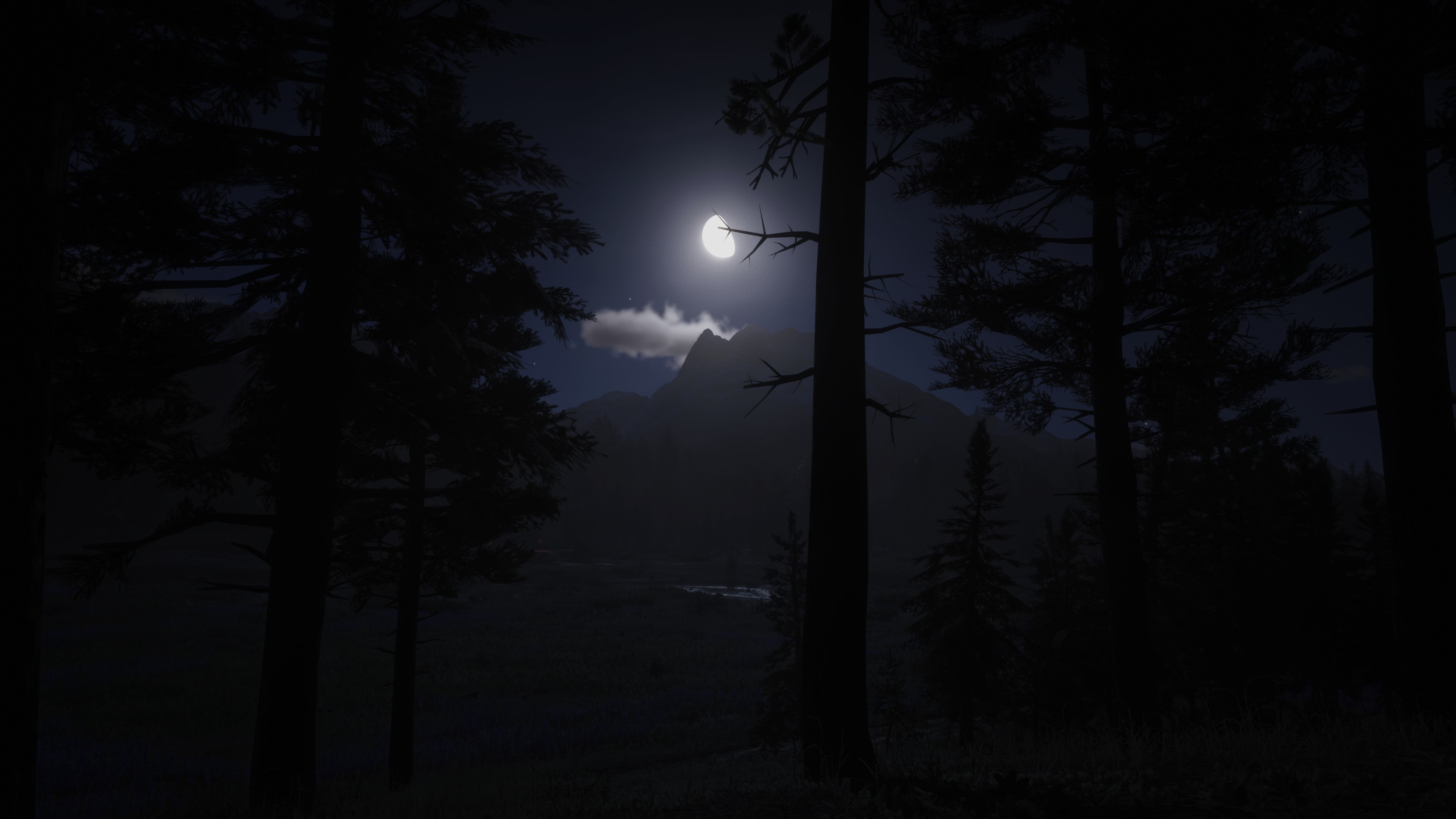 4K Red Dead Redemption 2 Night Mountain Forest HD Wallpaper
