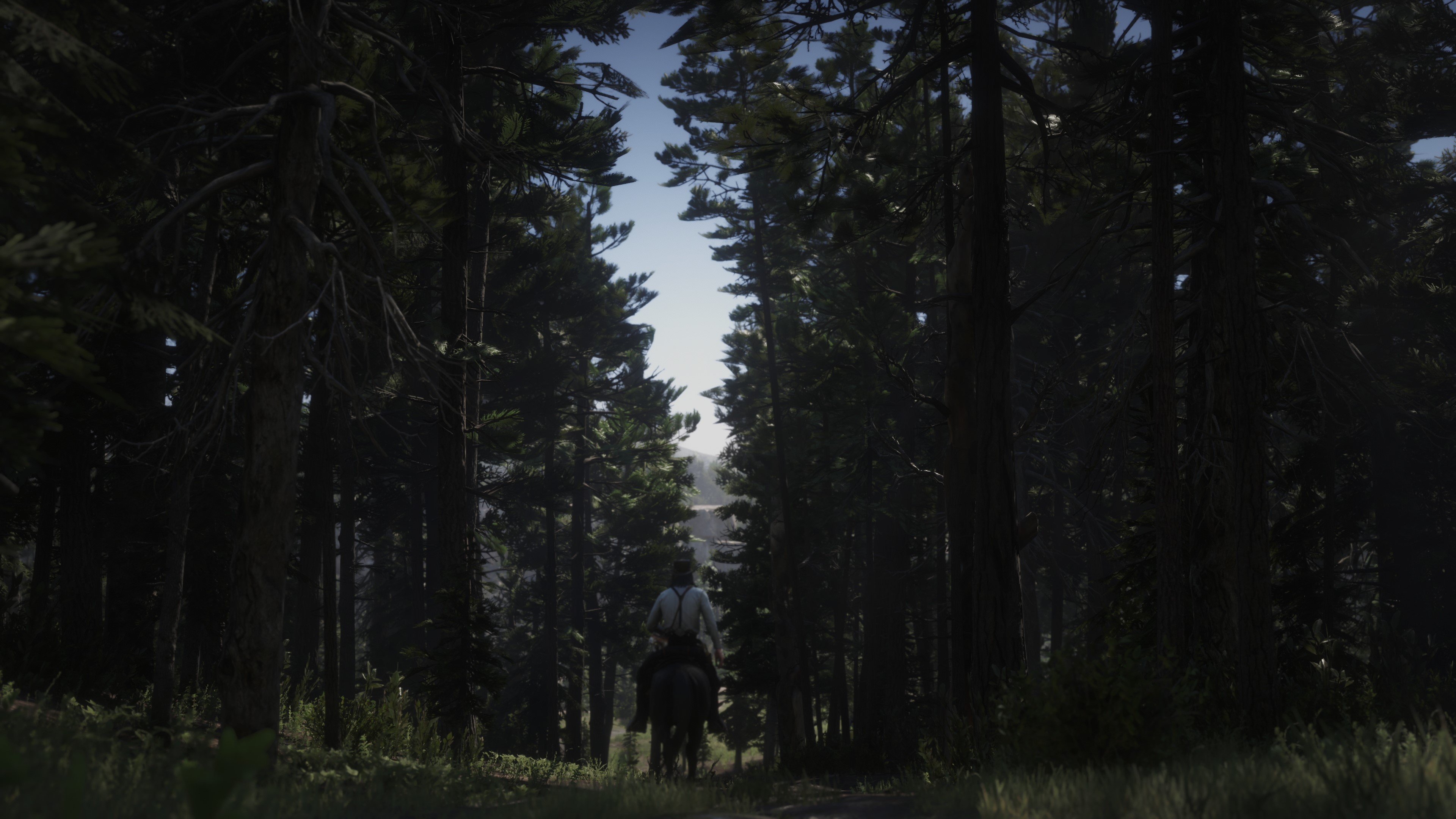 4K Red Dead Redemption 2 on Xbox One X HD Wallpaper