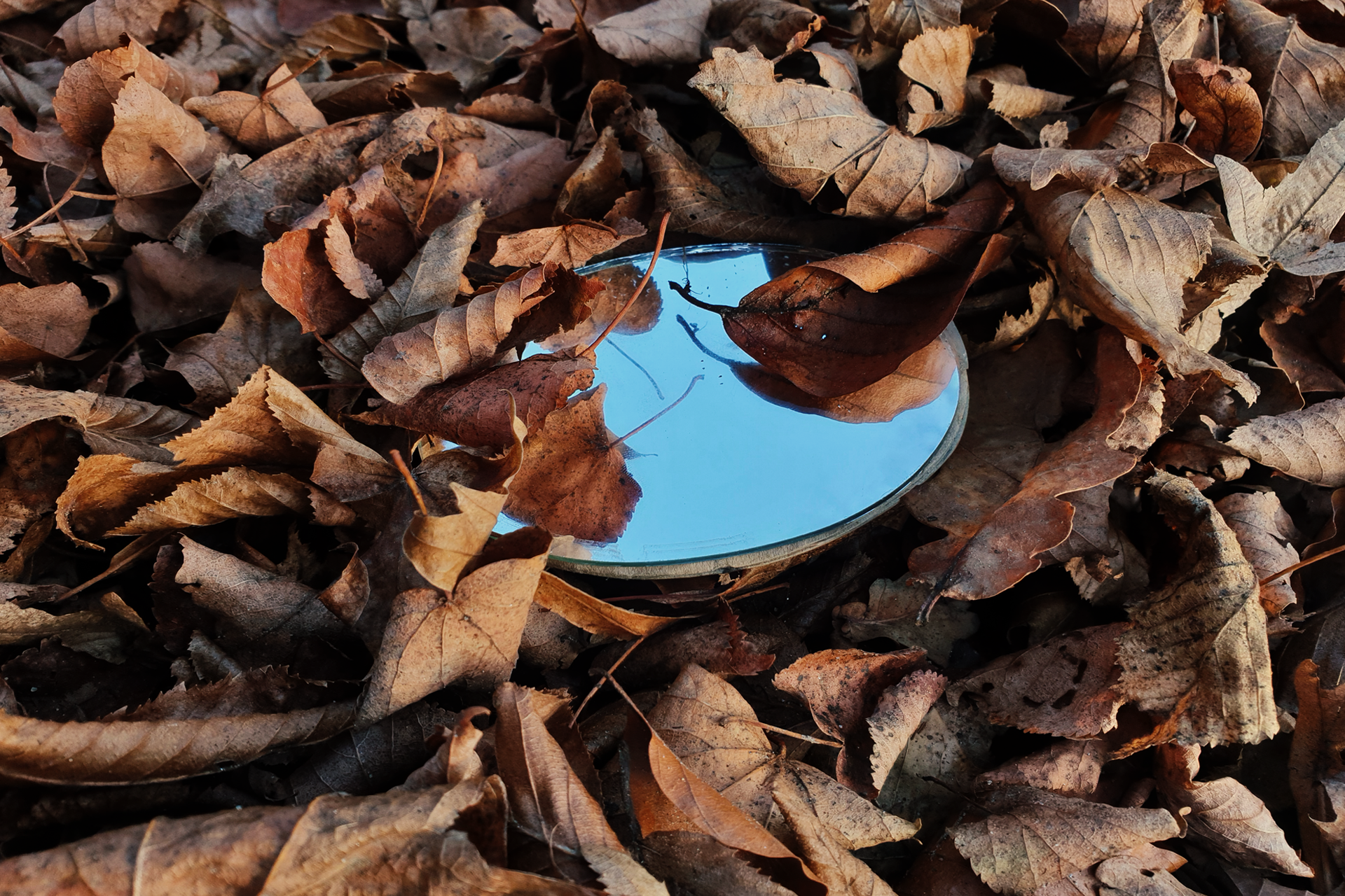 Mirror reflecting blue sky among fallen autumn leaves HD Wallpaper