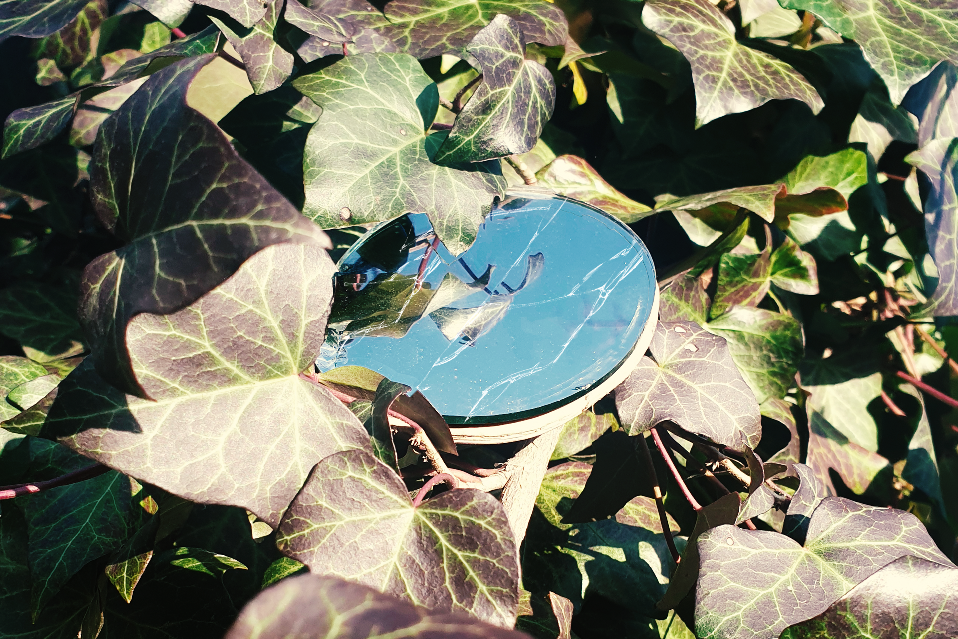 Broken mirror among ivy leaves HD Wallpaper