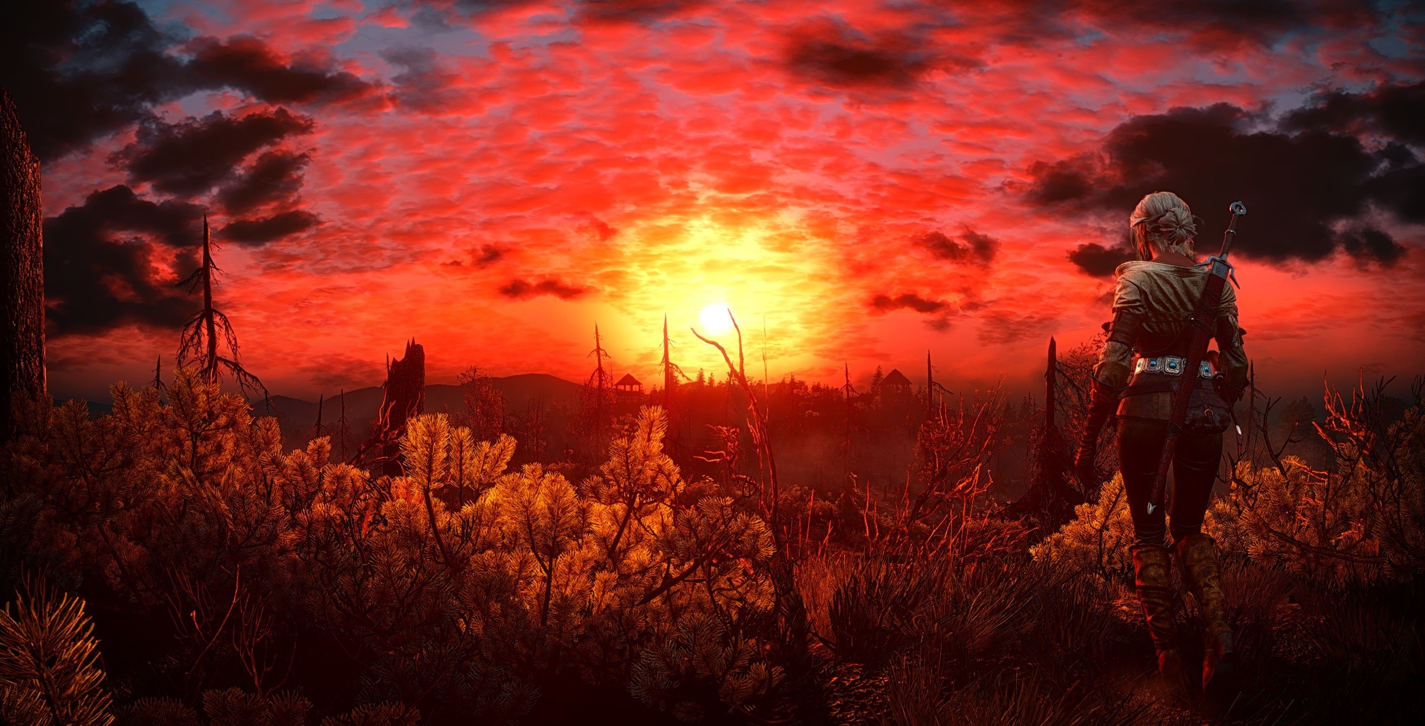 Ciri from The Witcher 3: Wild Hunt at sunset HD Wallpaper