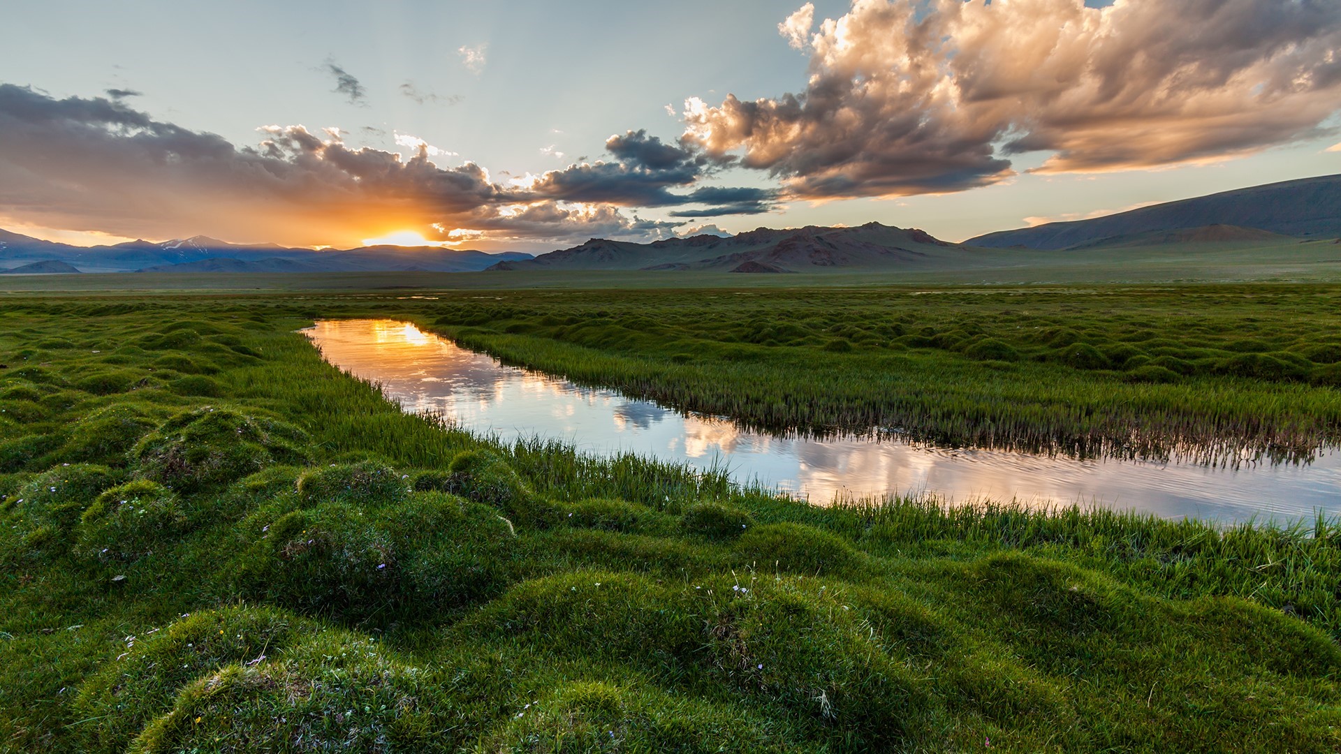Sunset over a grassy field with a river HD Wallpaper